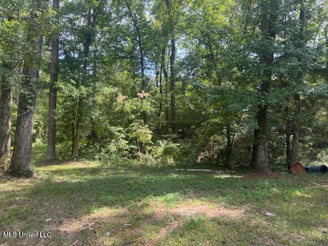1270 Hwy 469 Property Photo 20