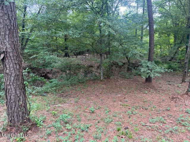 1270 Hwy 469 Property Photo 23