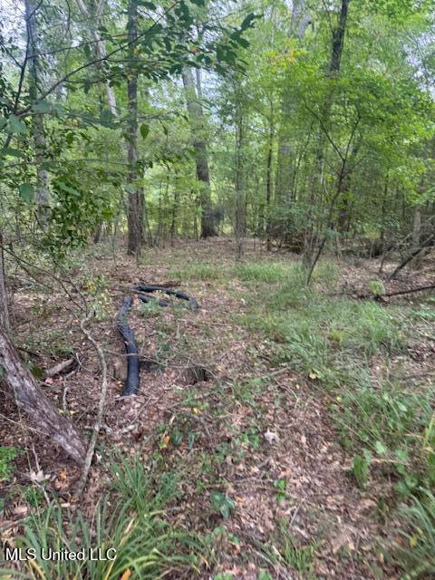 1270 Hwy 469 Property Photo 25