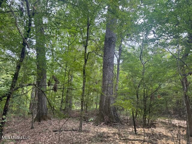 1270 Hwy 469 Property Photo 26