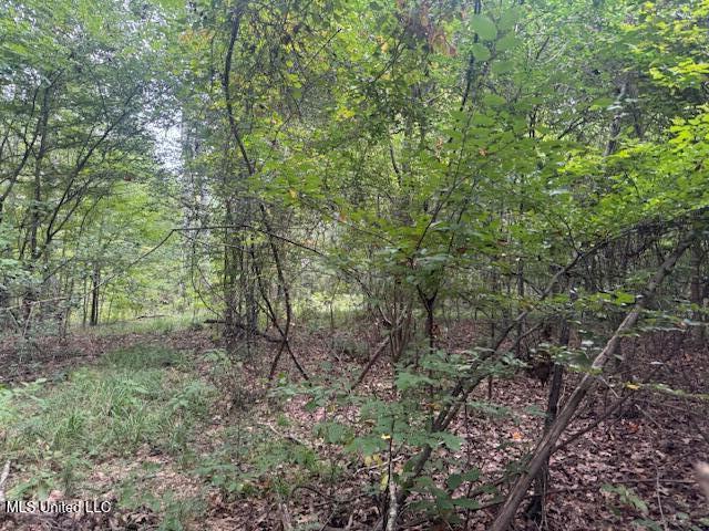 1270 Hwy 469 Property Photo 27