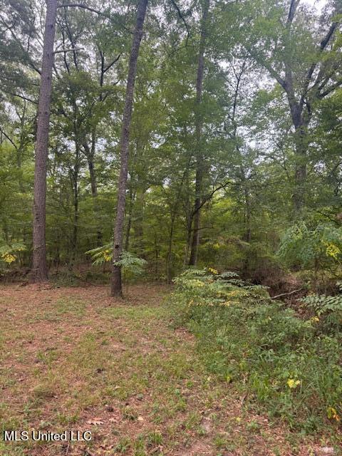 1270 Hwy 469 Property Photo 28