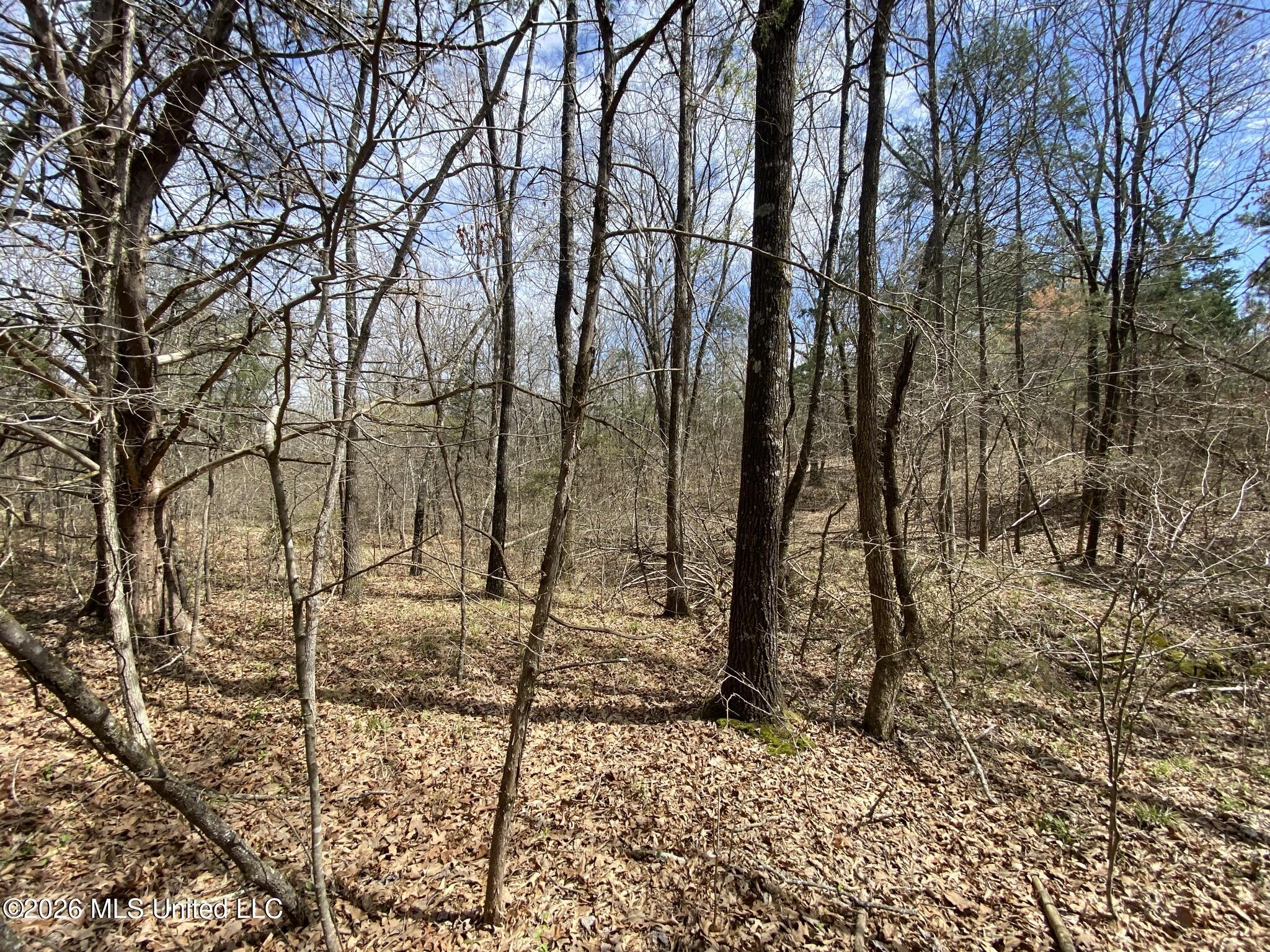 12 Acres Wall Hill Farms Road Property Photo 2