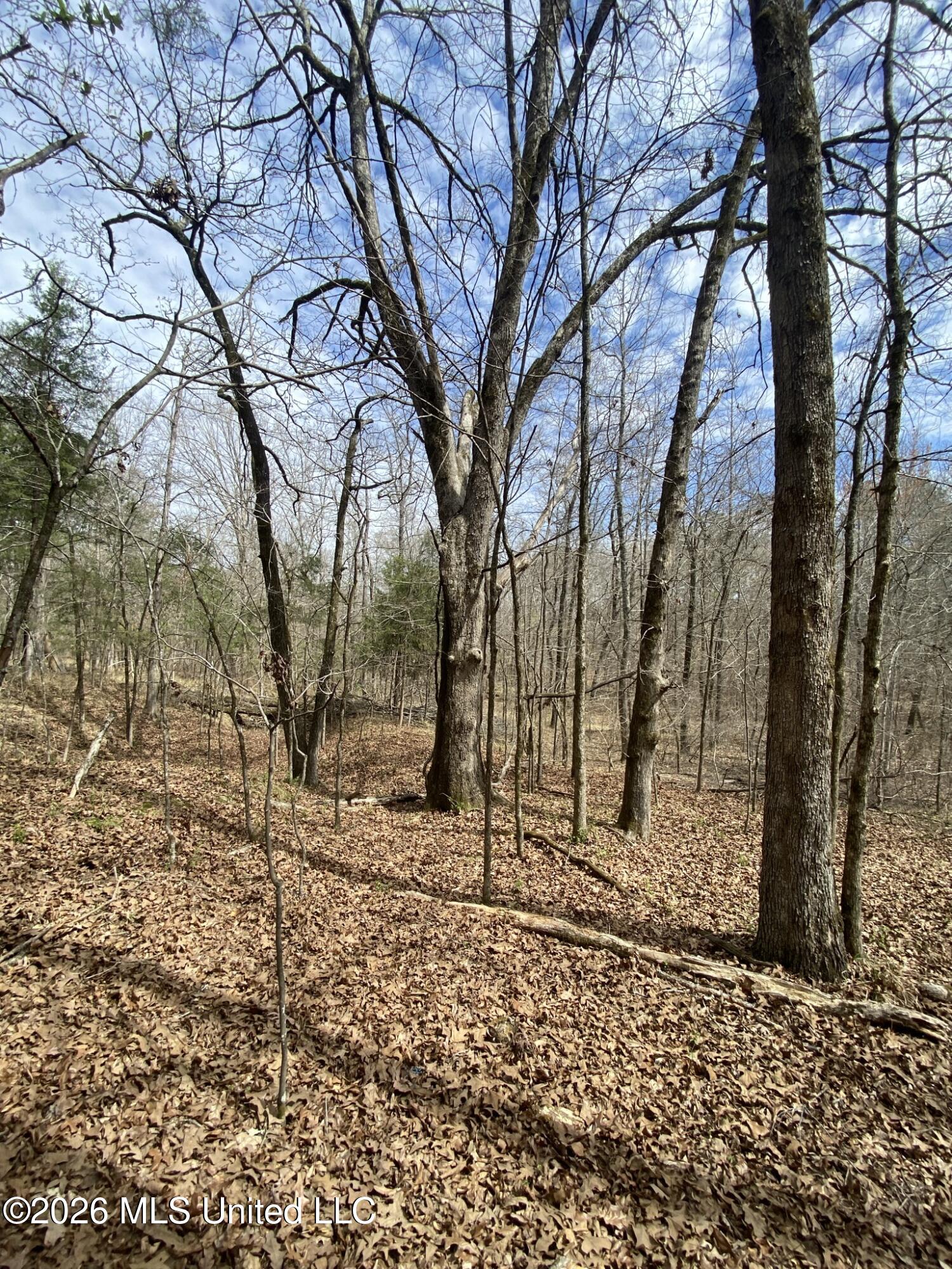 12 Acres Wall Hill Farms Road Property Photo 3