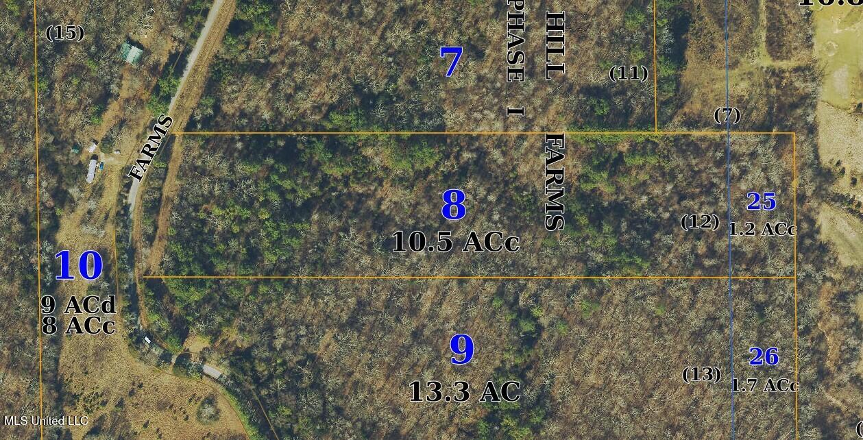 12 Acres Wall Hill Farms Road Property Photo 6