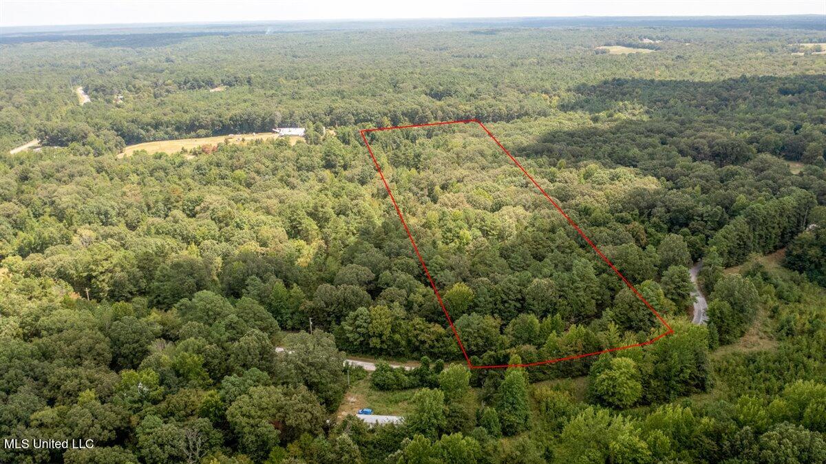 12 Acres Wall Hill Farms Road Property Photo 8