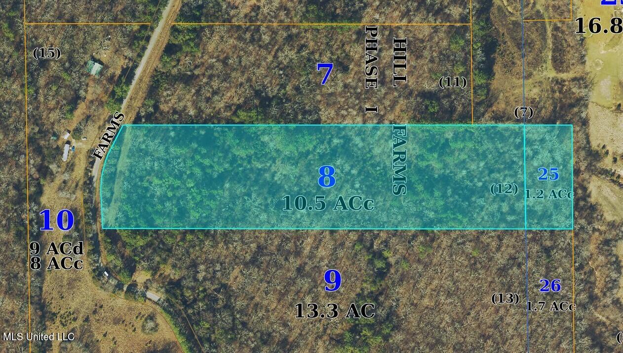 12 Acres Wall Hill Farms Road Property Photo 9