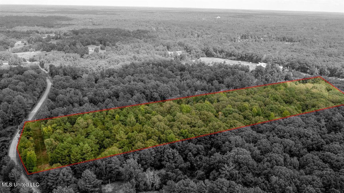 12 Acres Wall Hill Farms Road Property Photo 10