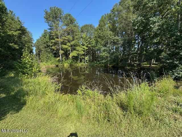 1019 Kennedy Road Property Photo 50