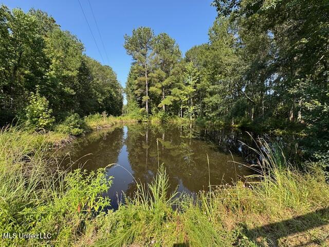 1019 Kennedy Road Property Photo 51