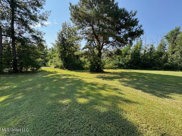 1019 Kennedy Road Property Photo 55