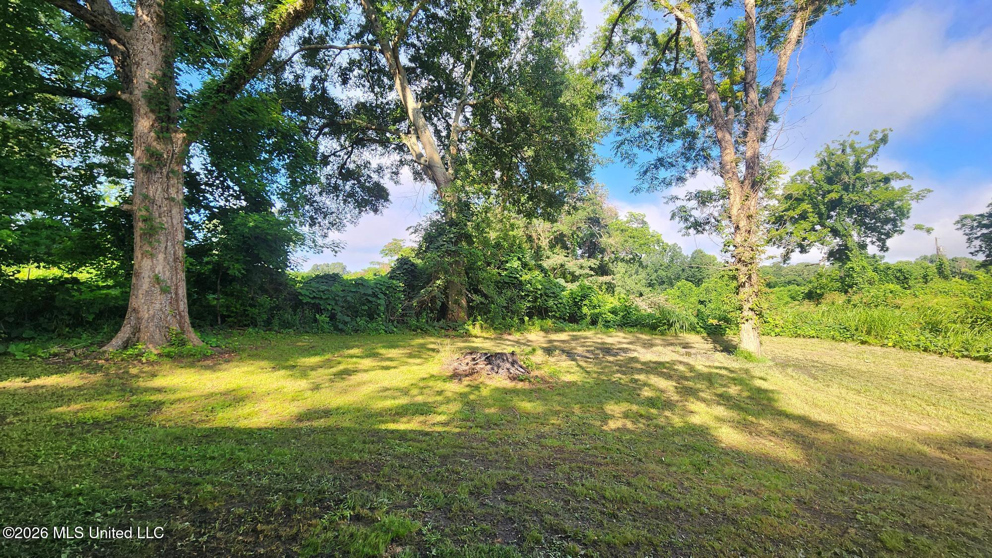 8 Lofton Lane Property Photo 19