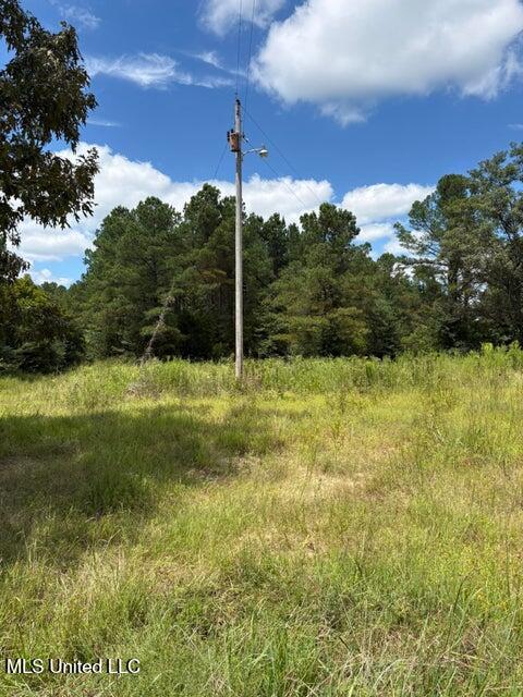 Hardaway Chapel Rd Property Photo 6