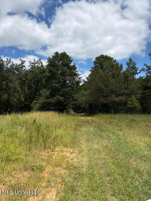 Hardaway Chapel Rd Property Photo 7