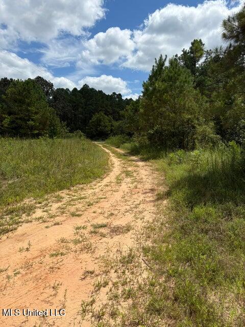 Hardaway Chapel Rd Property Photo 8