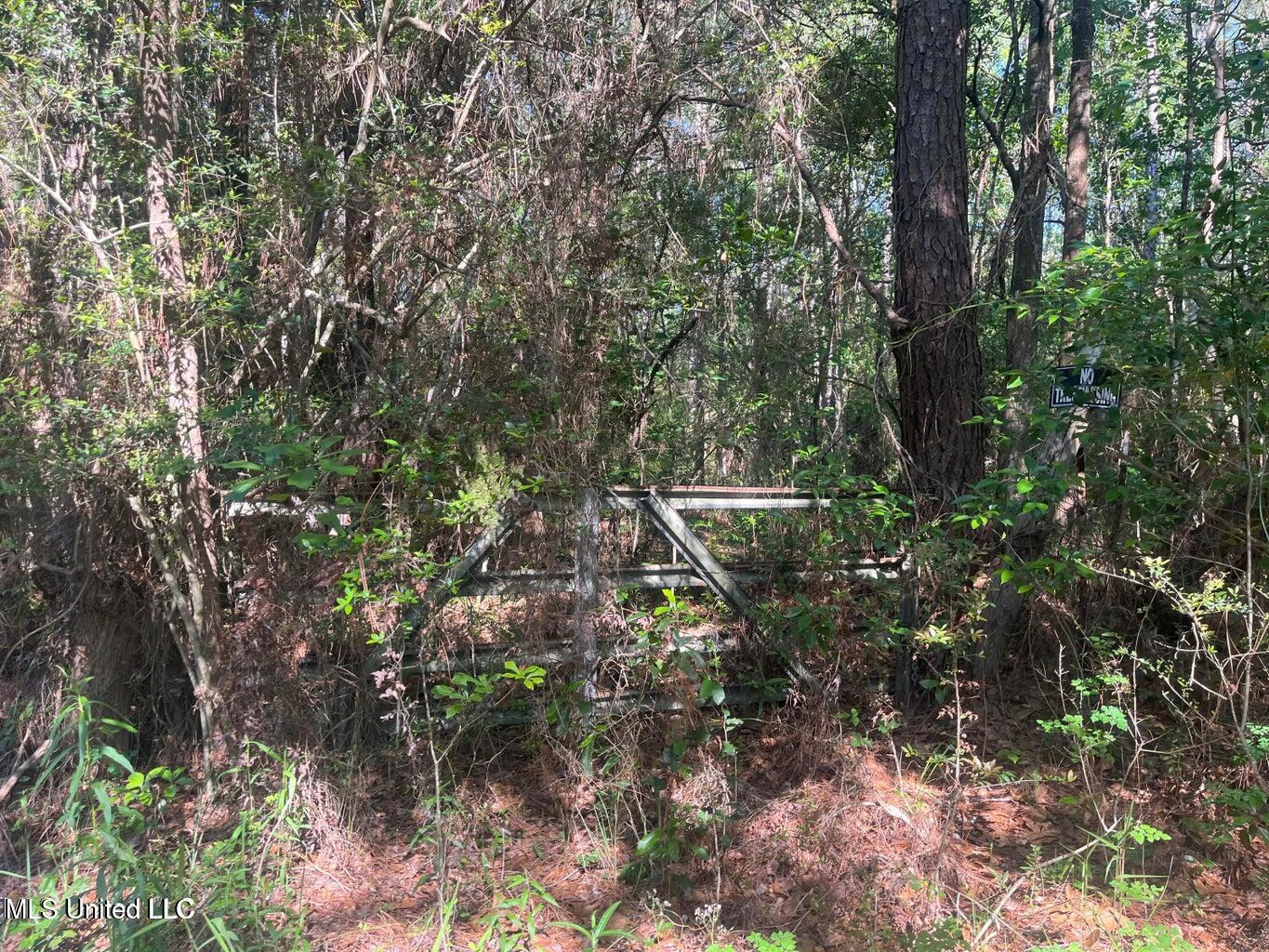 Martin Young Road Property Photo 1