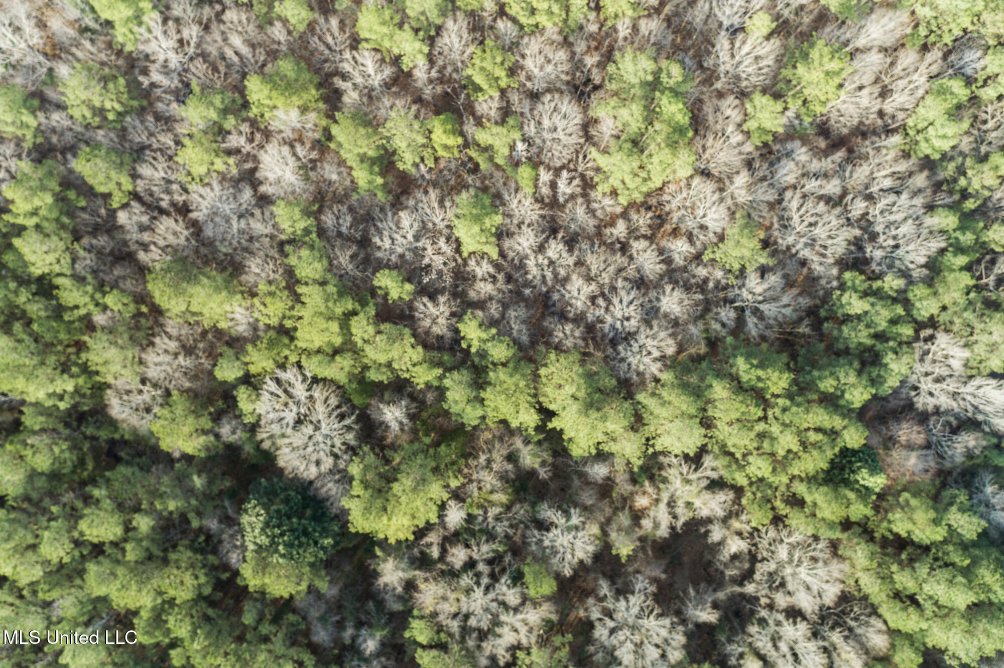 00 Hwy 49 Property Photo 11