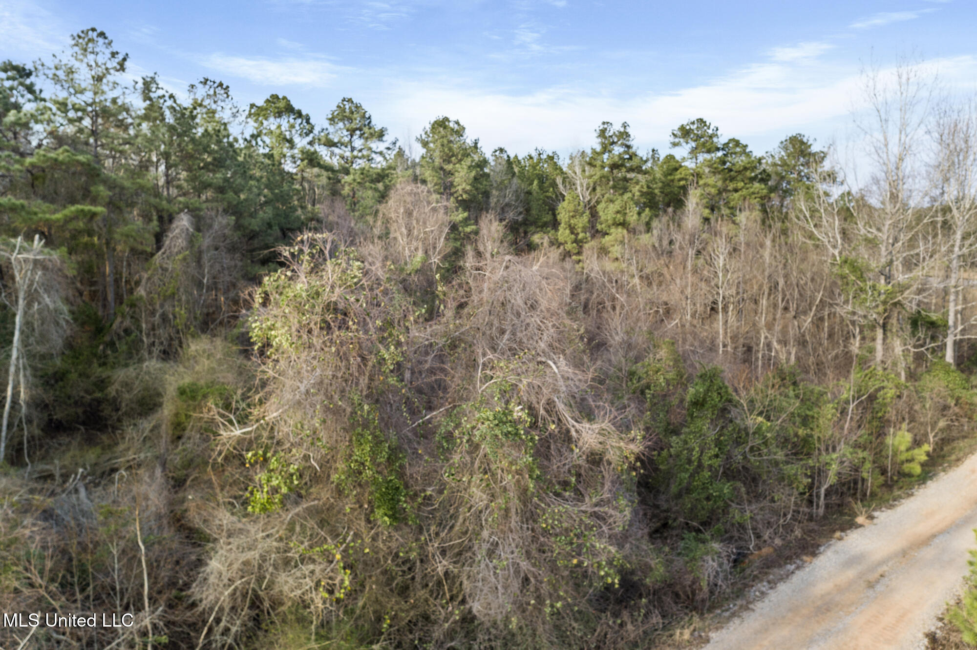 00 Hwy 49 Property Photo 12