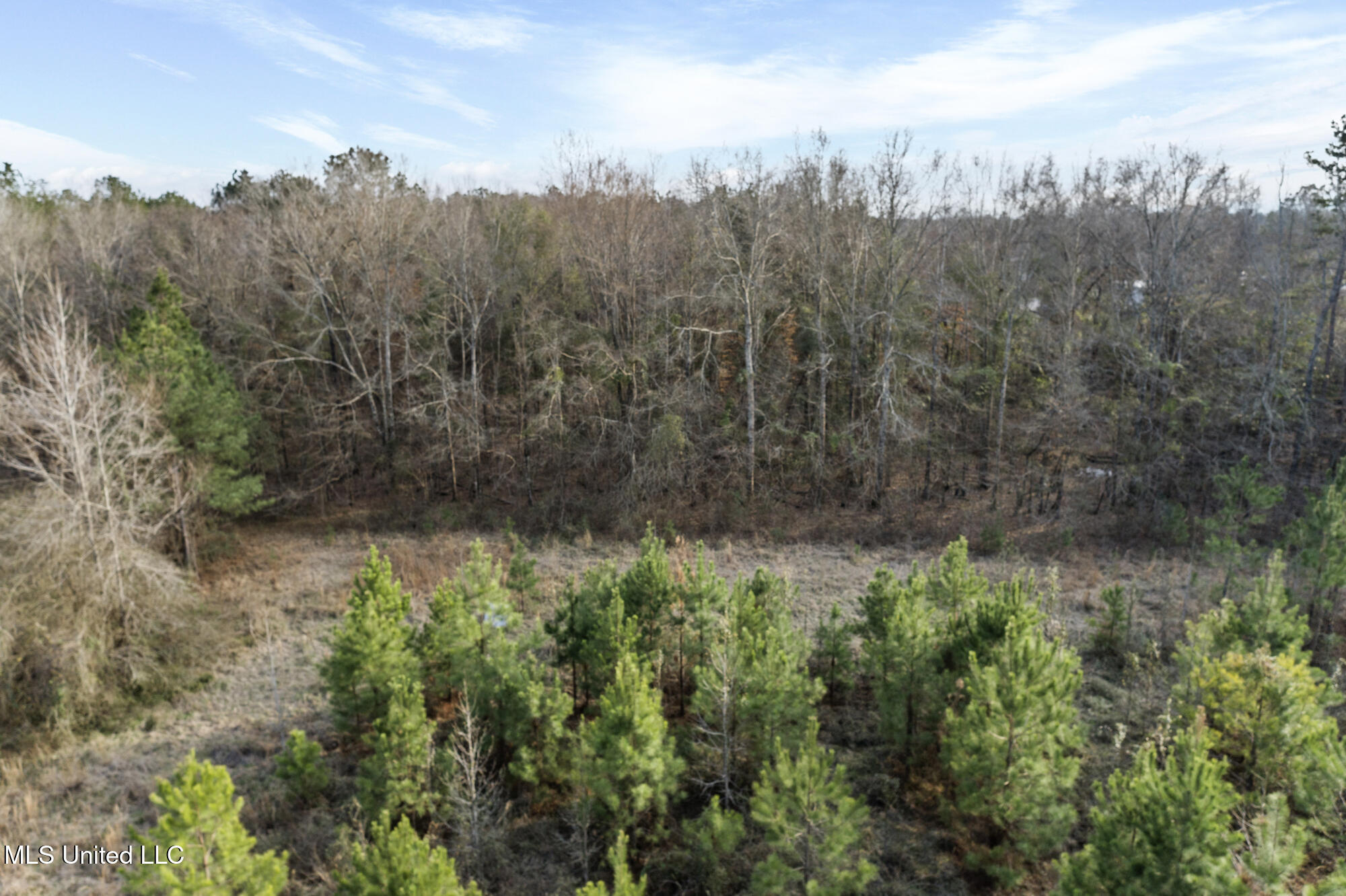 00 Hwy 49 Property Photo 13