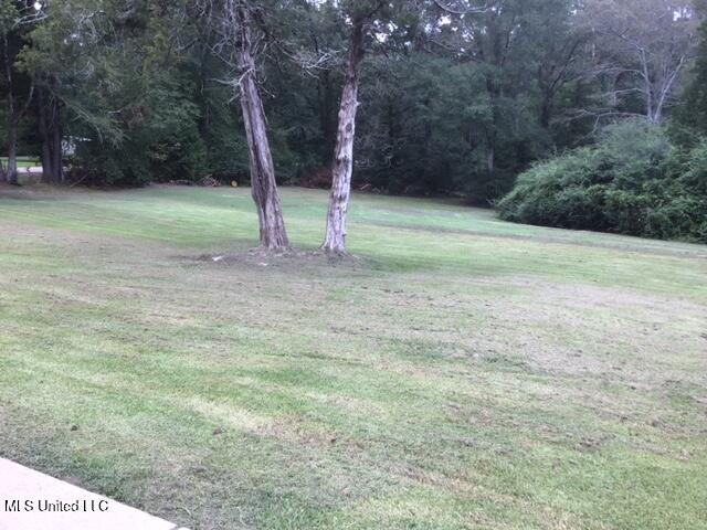 13538 Ms-501 Property Photo 30