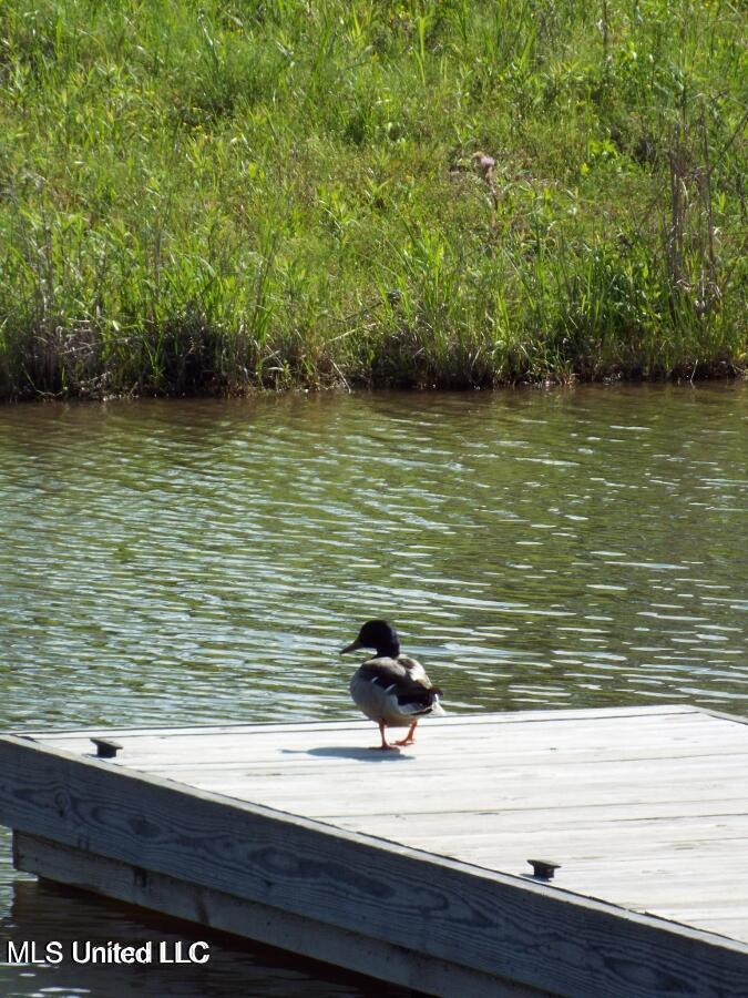 18-8 Windermere Boulevard Property Photo 8