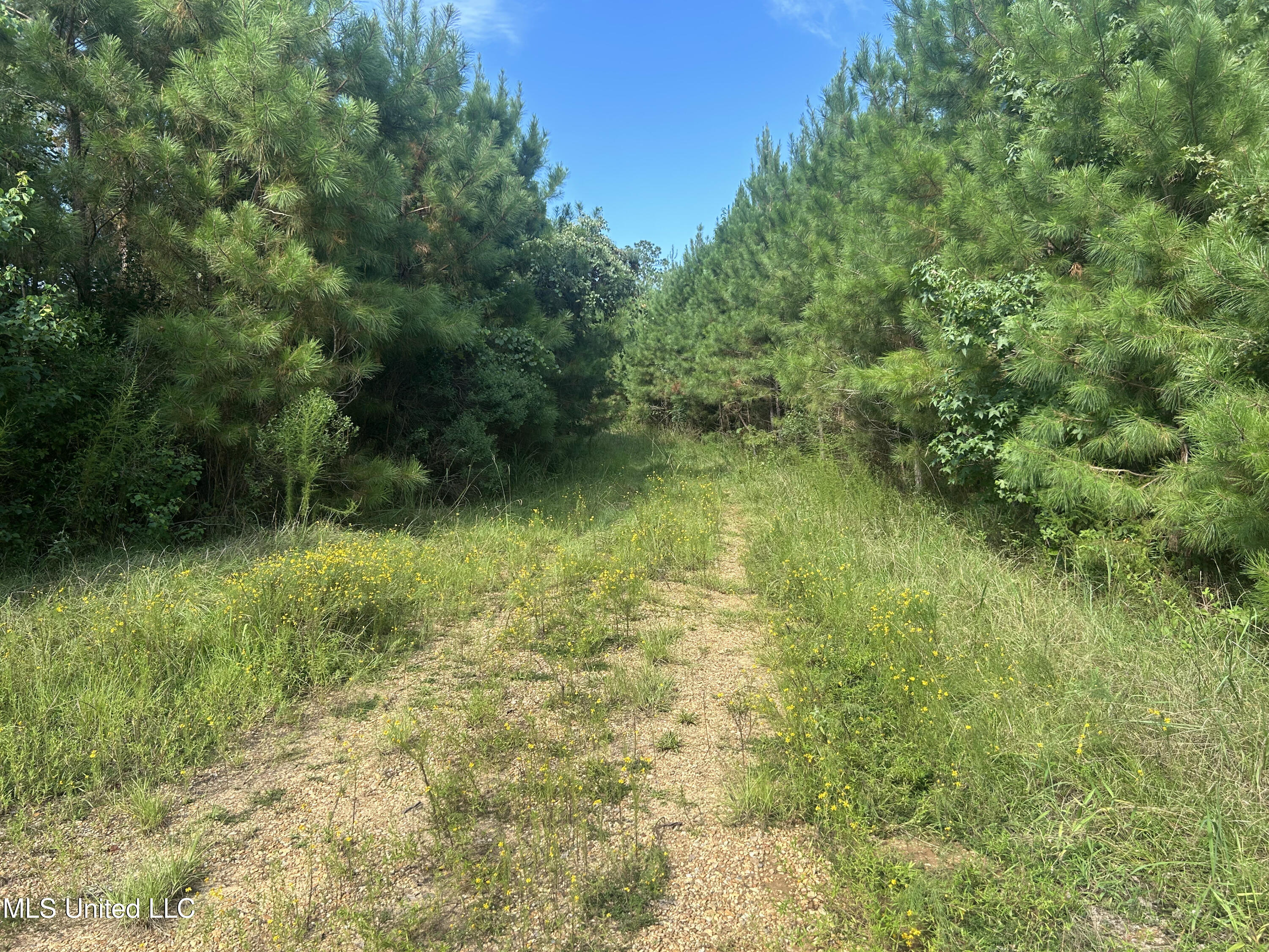 0 Coppell Property Photo 4