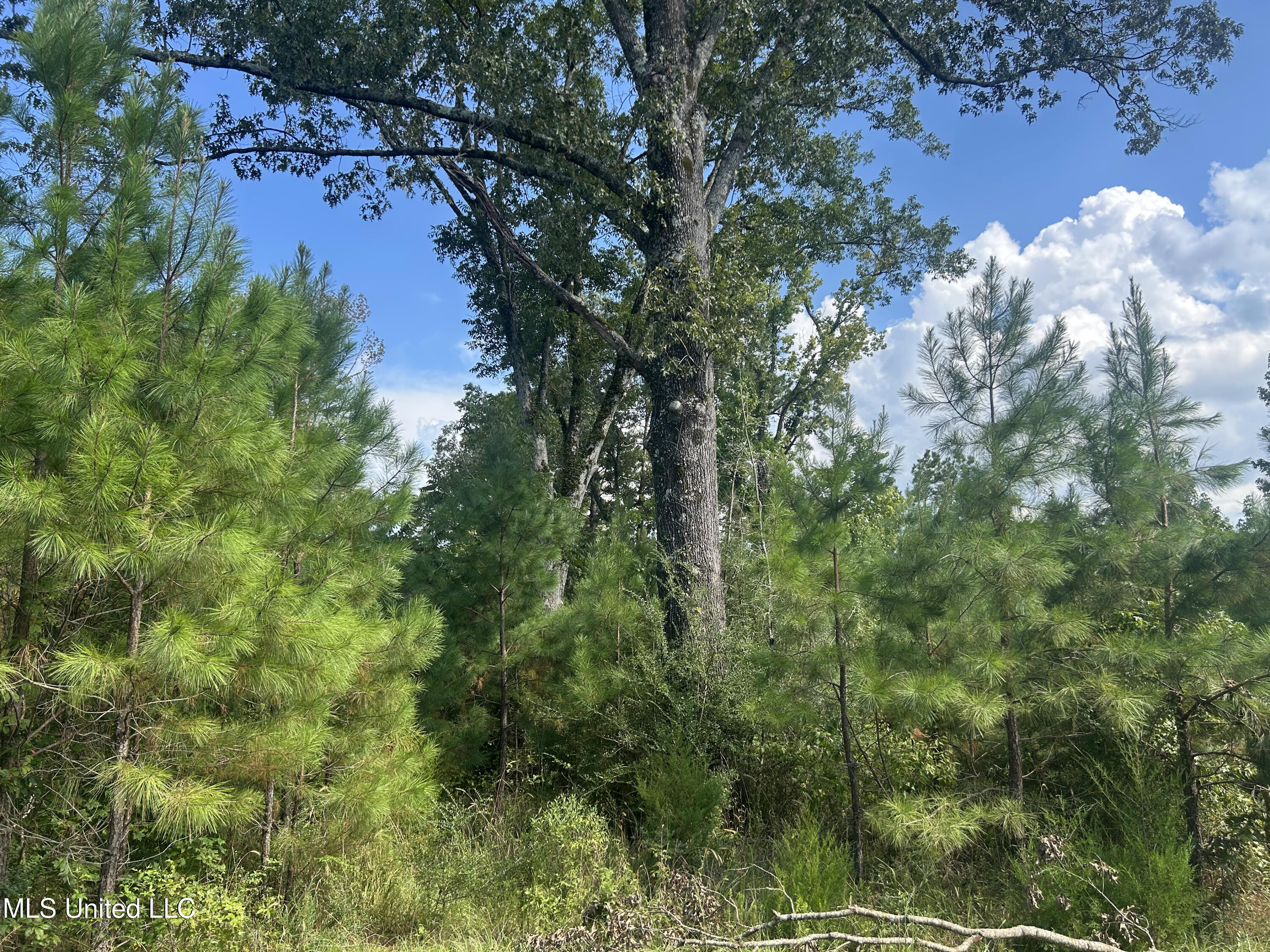 0 Coppell Property Photo 5