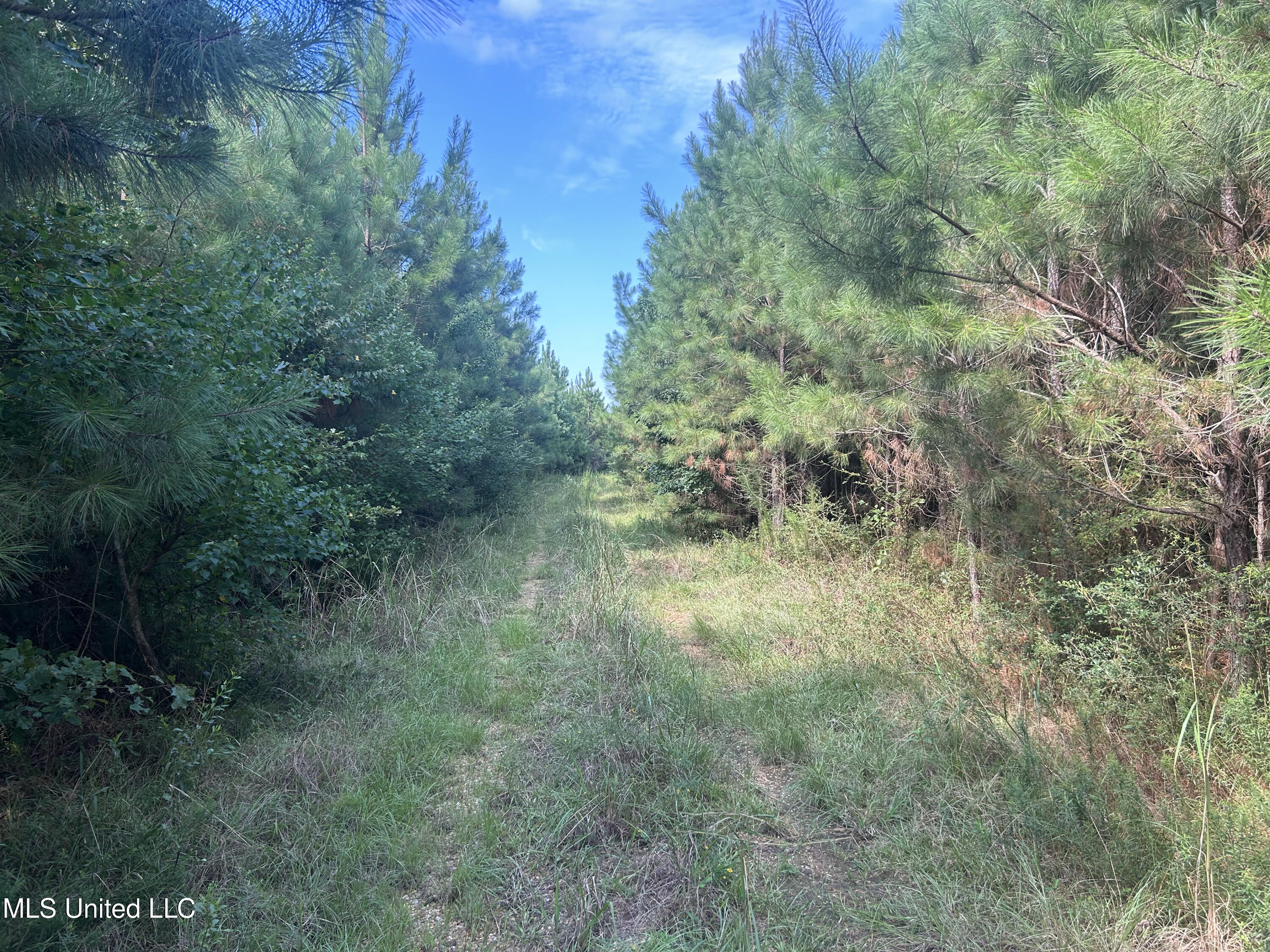 0 Coppell Property Photo 6