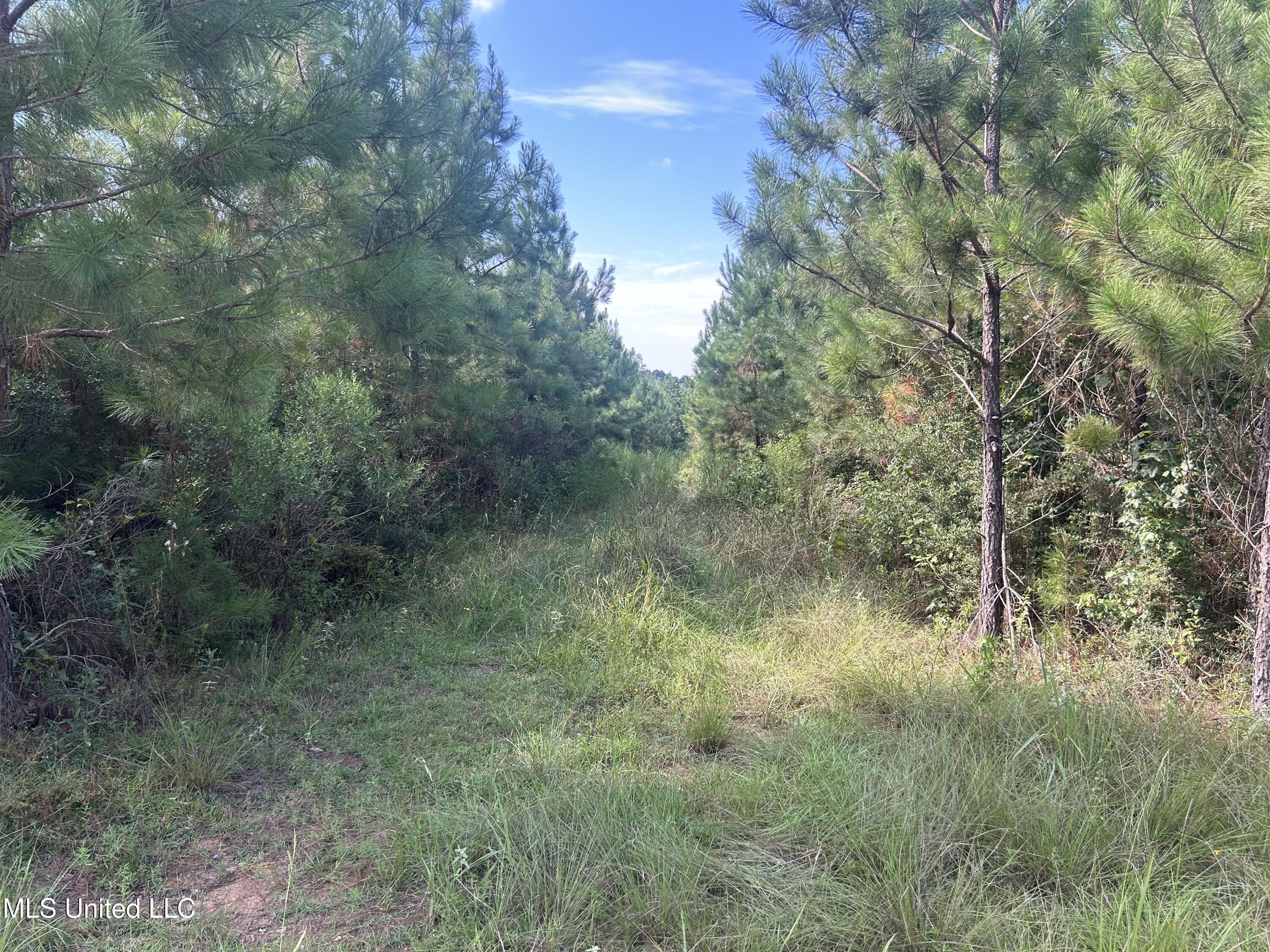 0 Coppell Property Photo 7