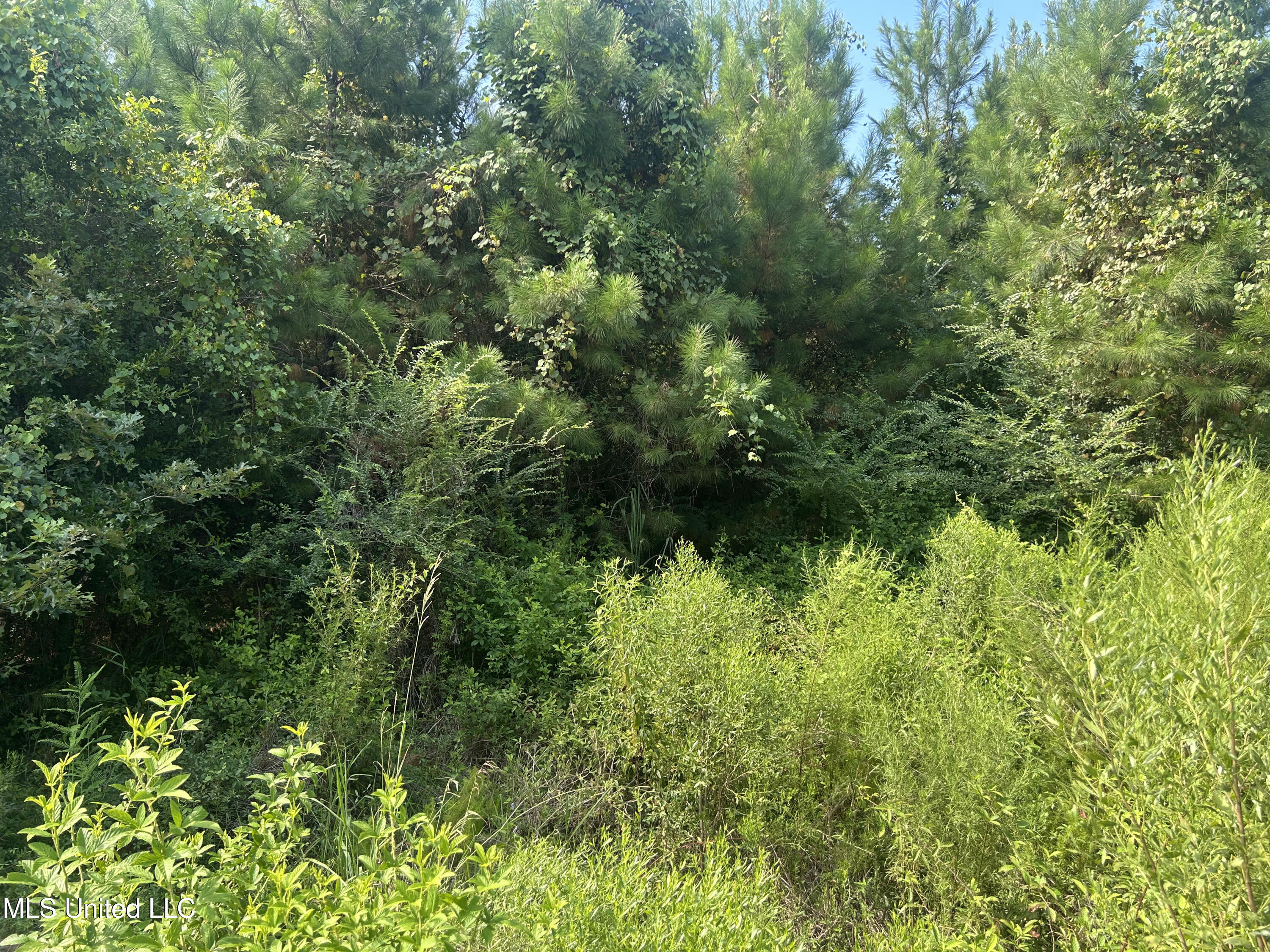 0 Coppell Property Photo 8