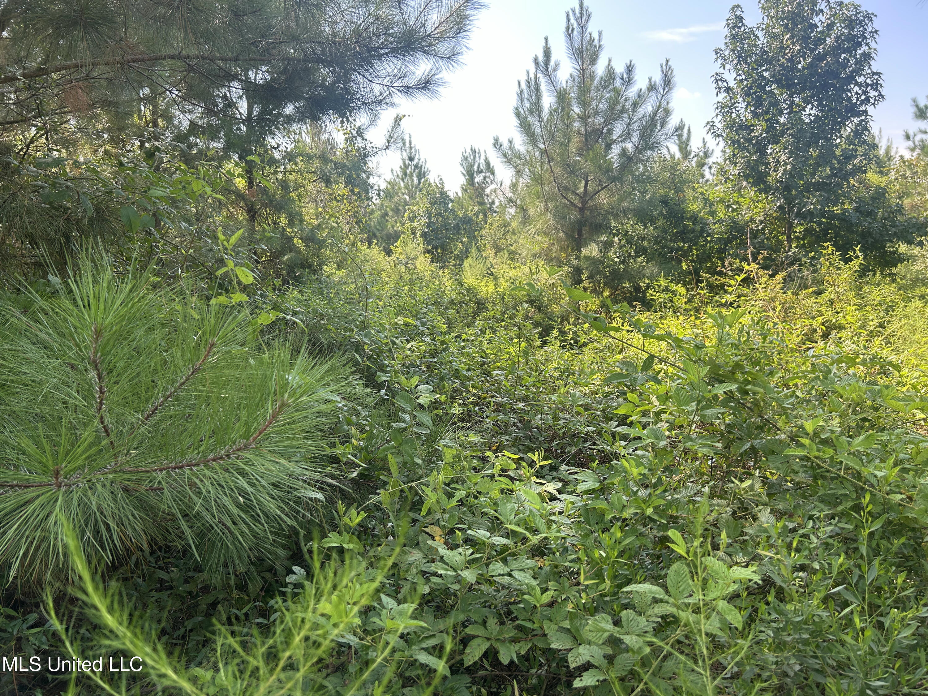 0 Coppell Property Photo 10