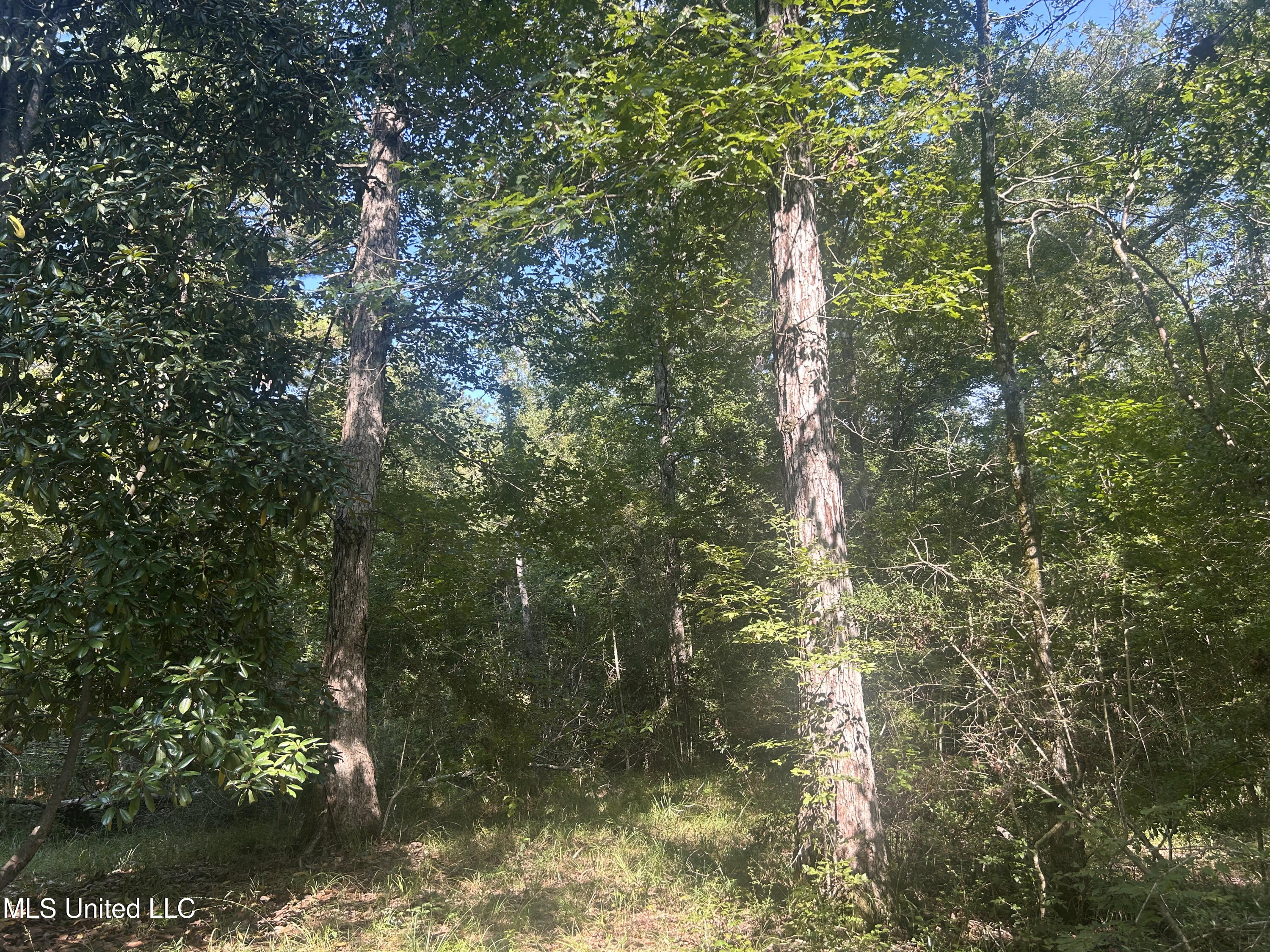 0 Coppell Property Photo 11