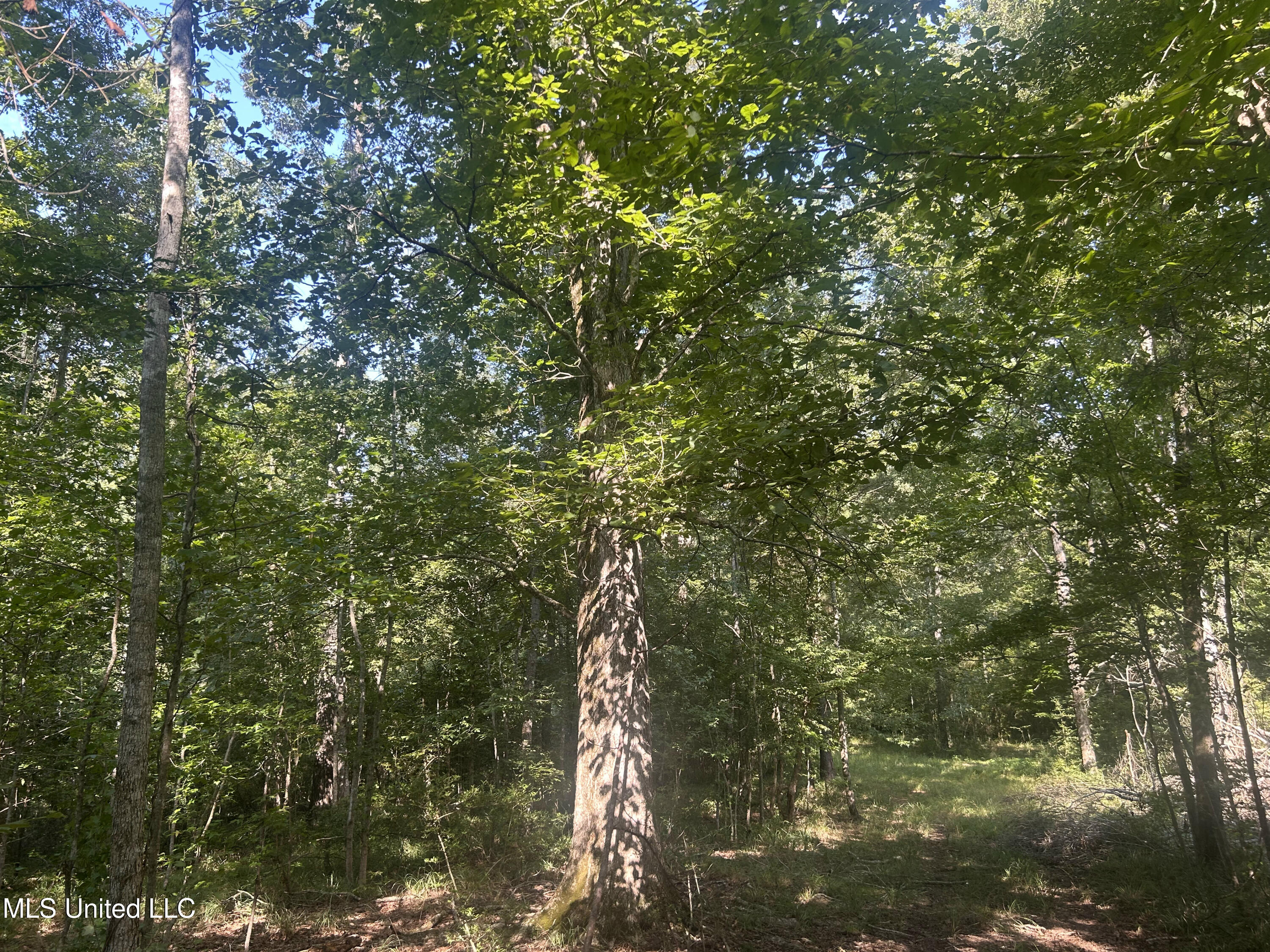 0 Coppell Property Photo 12