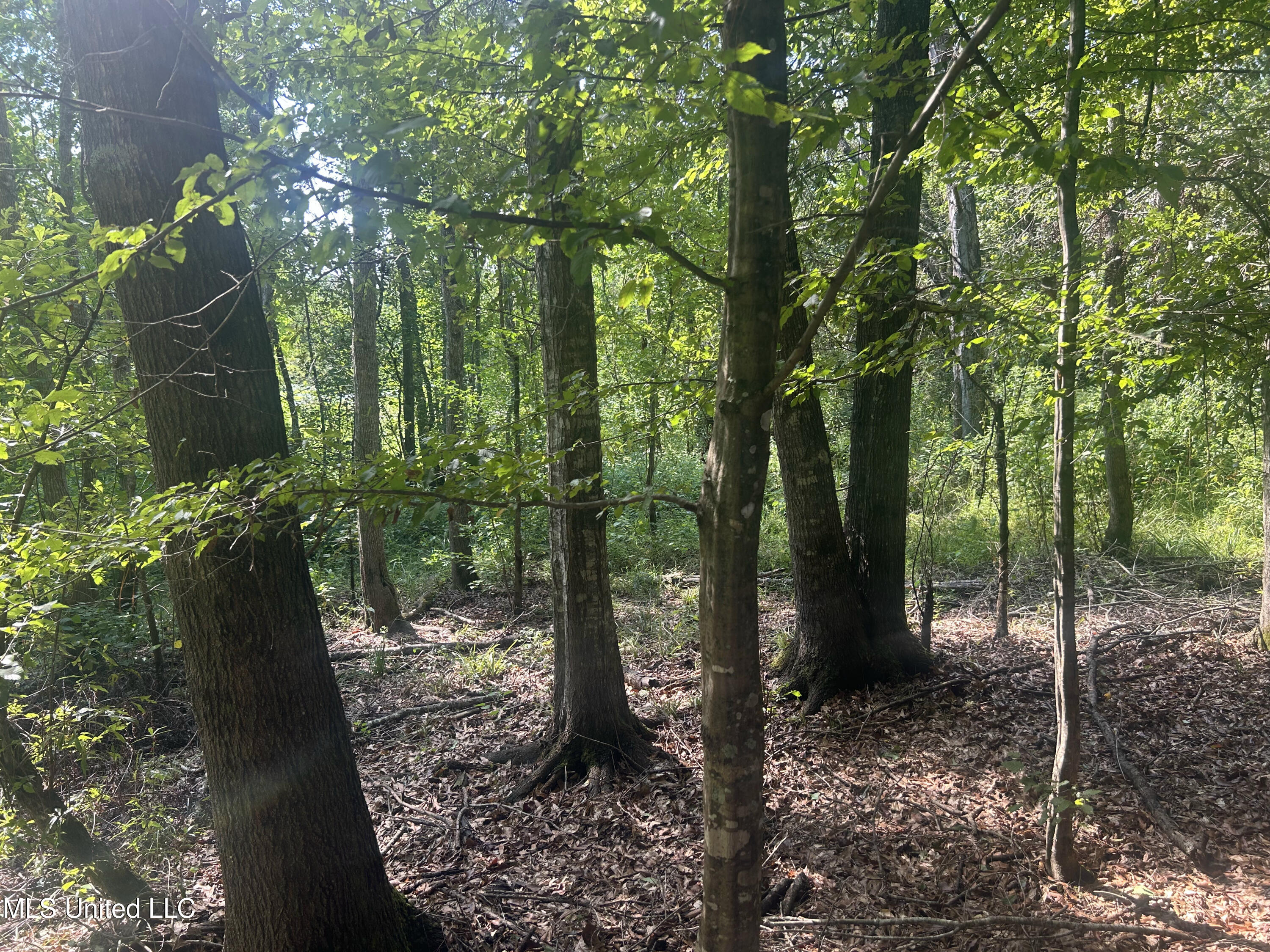 0 Coppell Property Photo 13