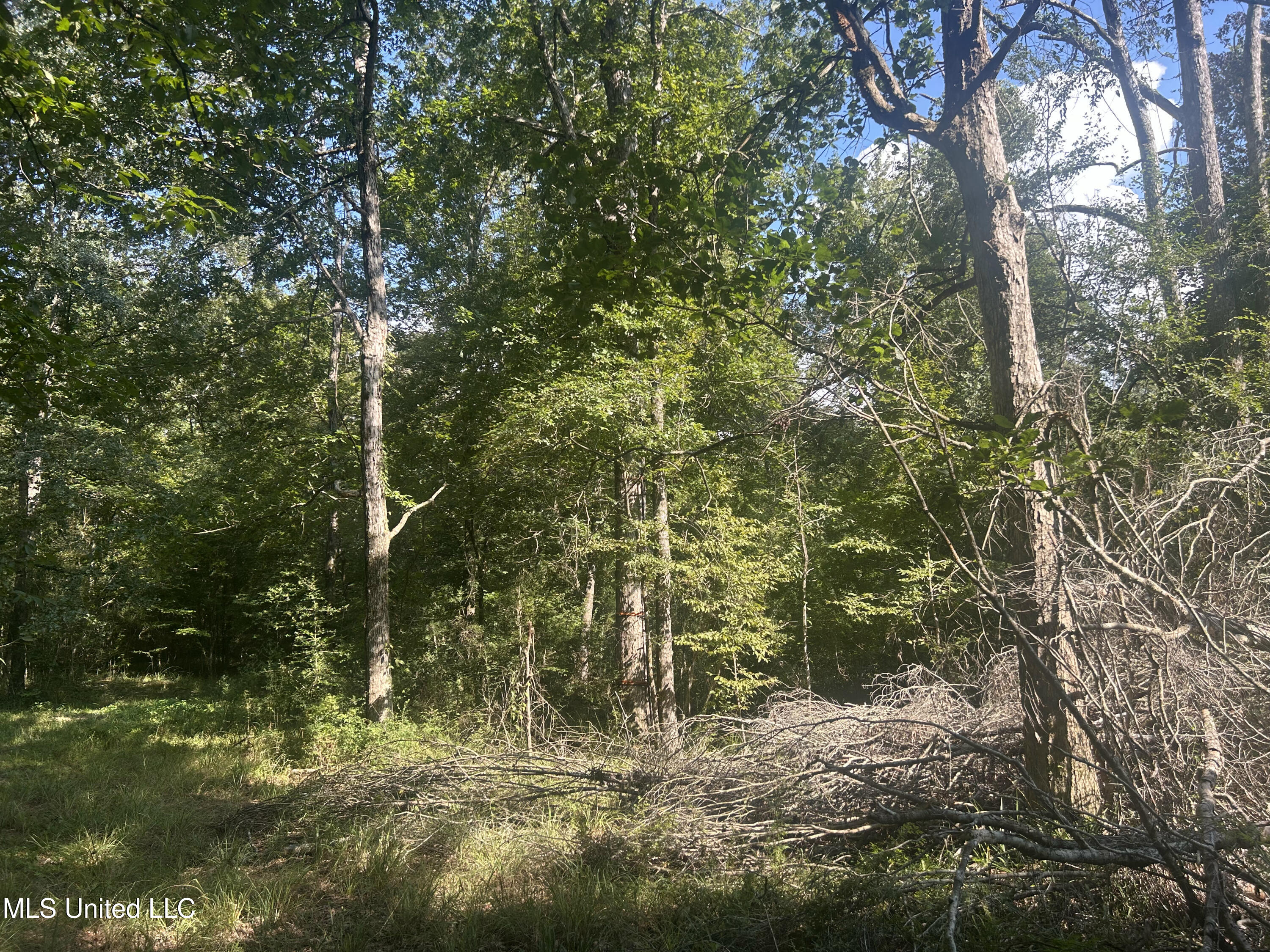 0 Coppell Property Photo 14