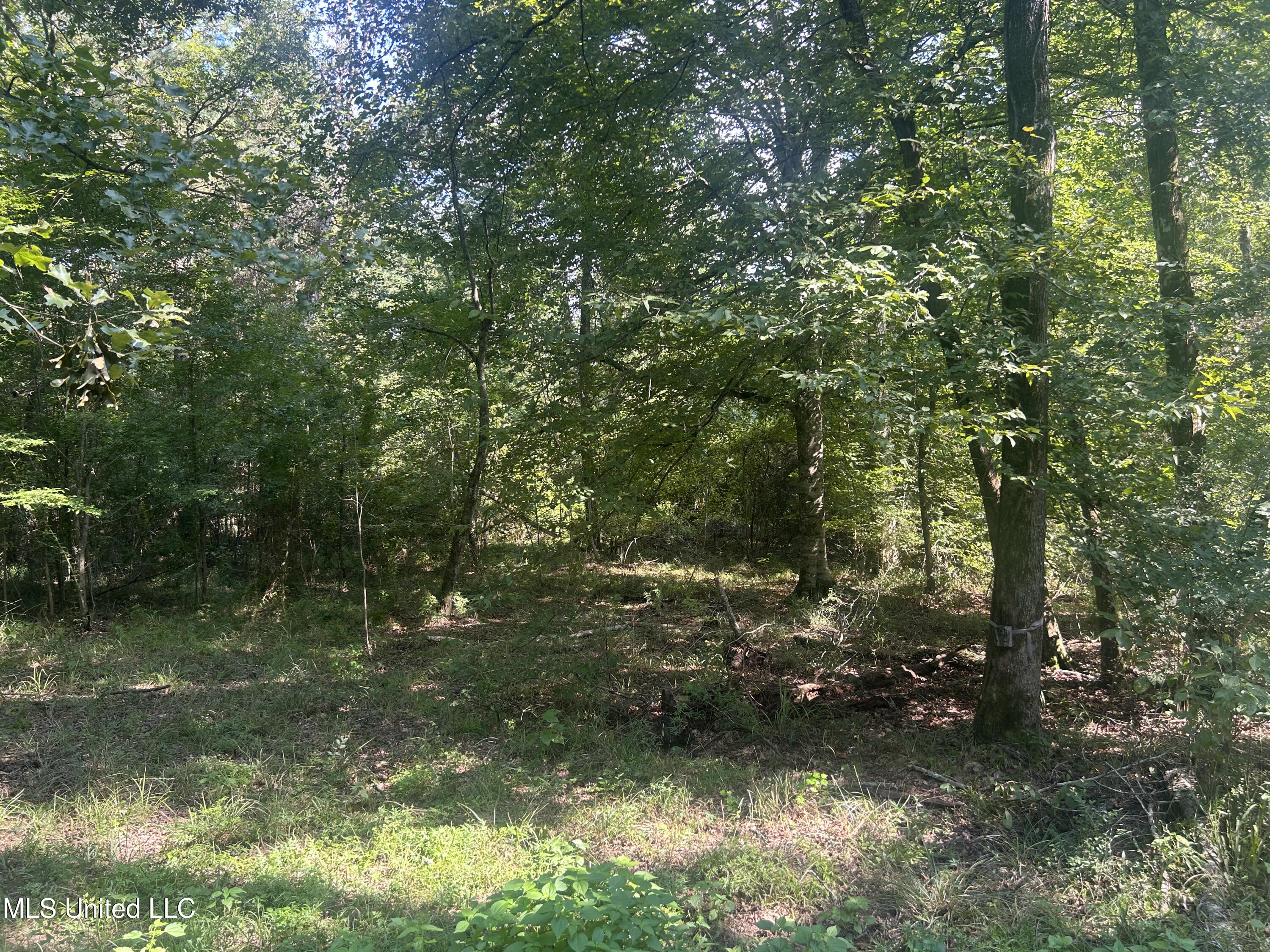 0 Coppell Property Photo 15