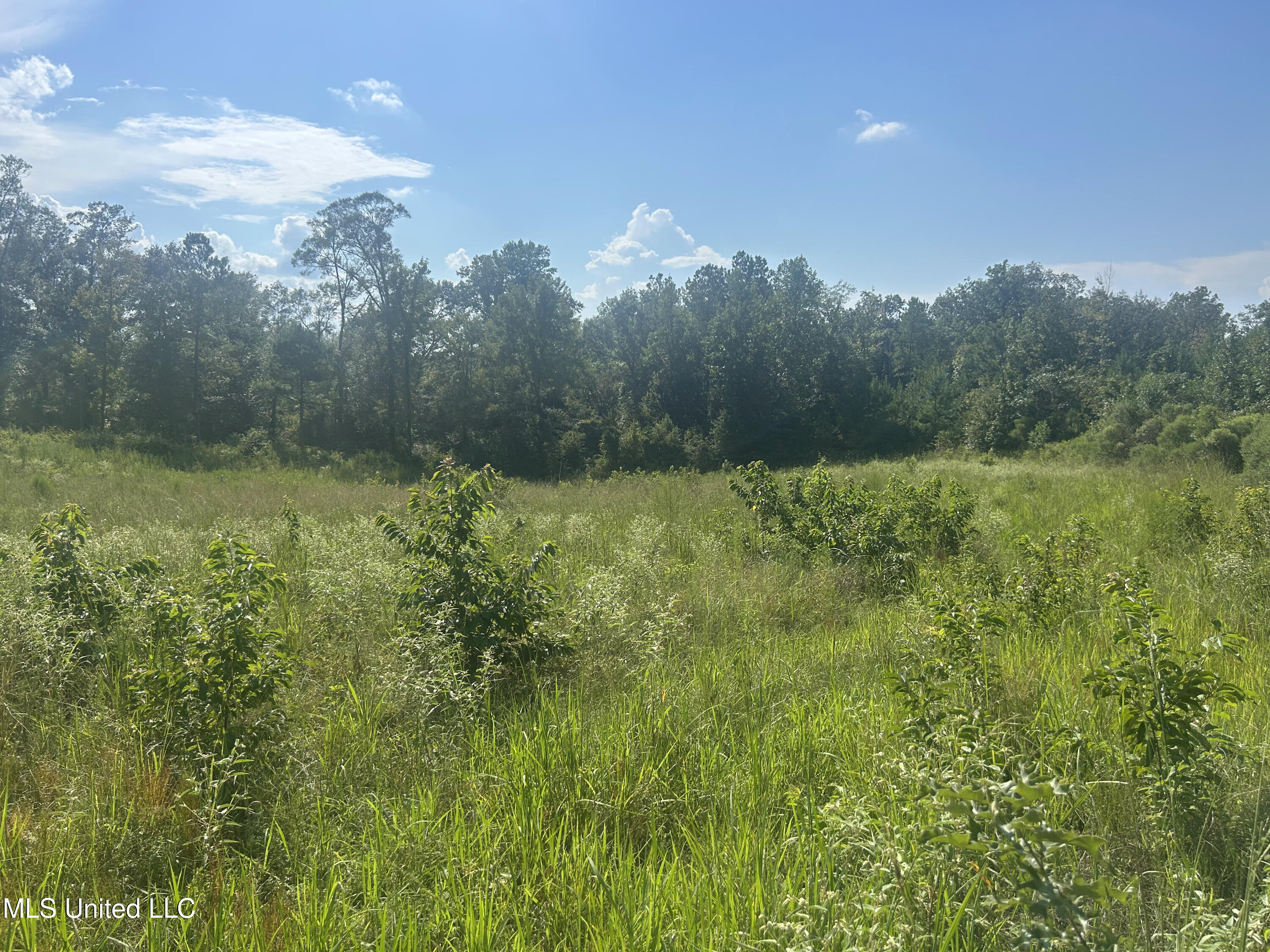 0 Coppell Property Photo 22