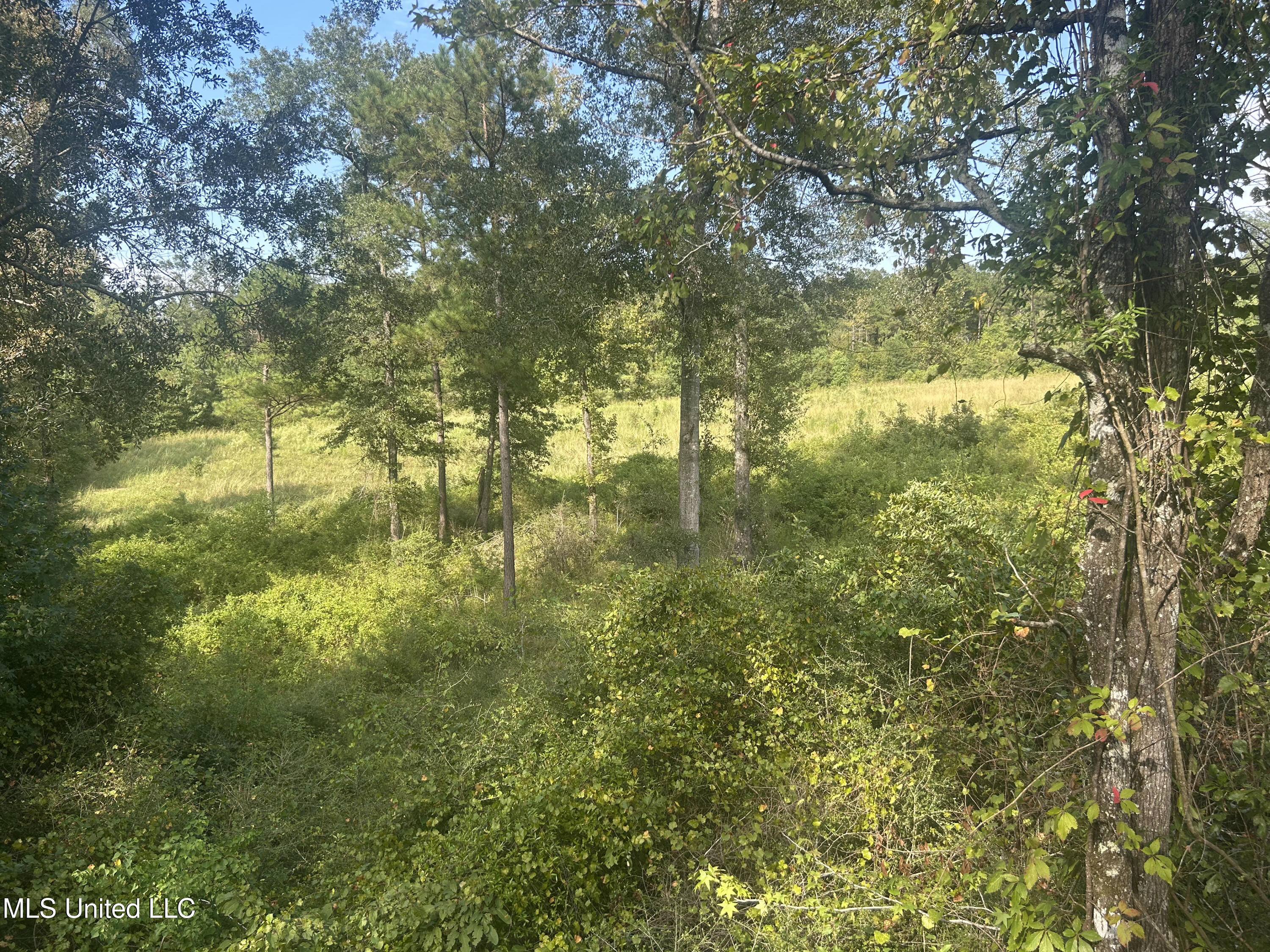 0 Coppell Property Photo 31