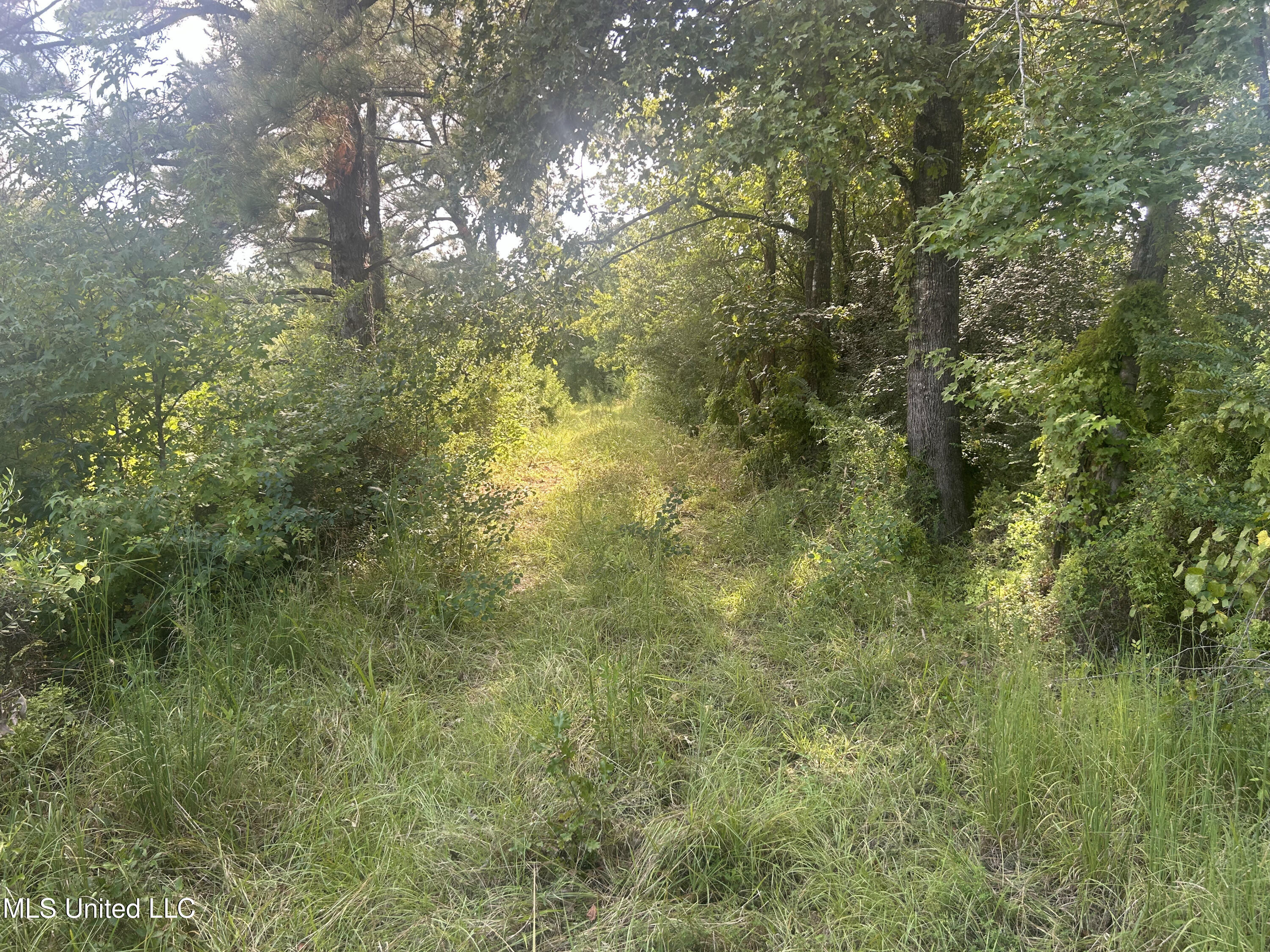 0 Coppell Property Photo 33