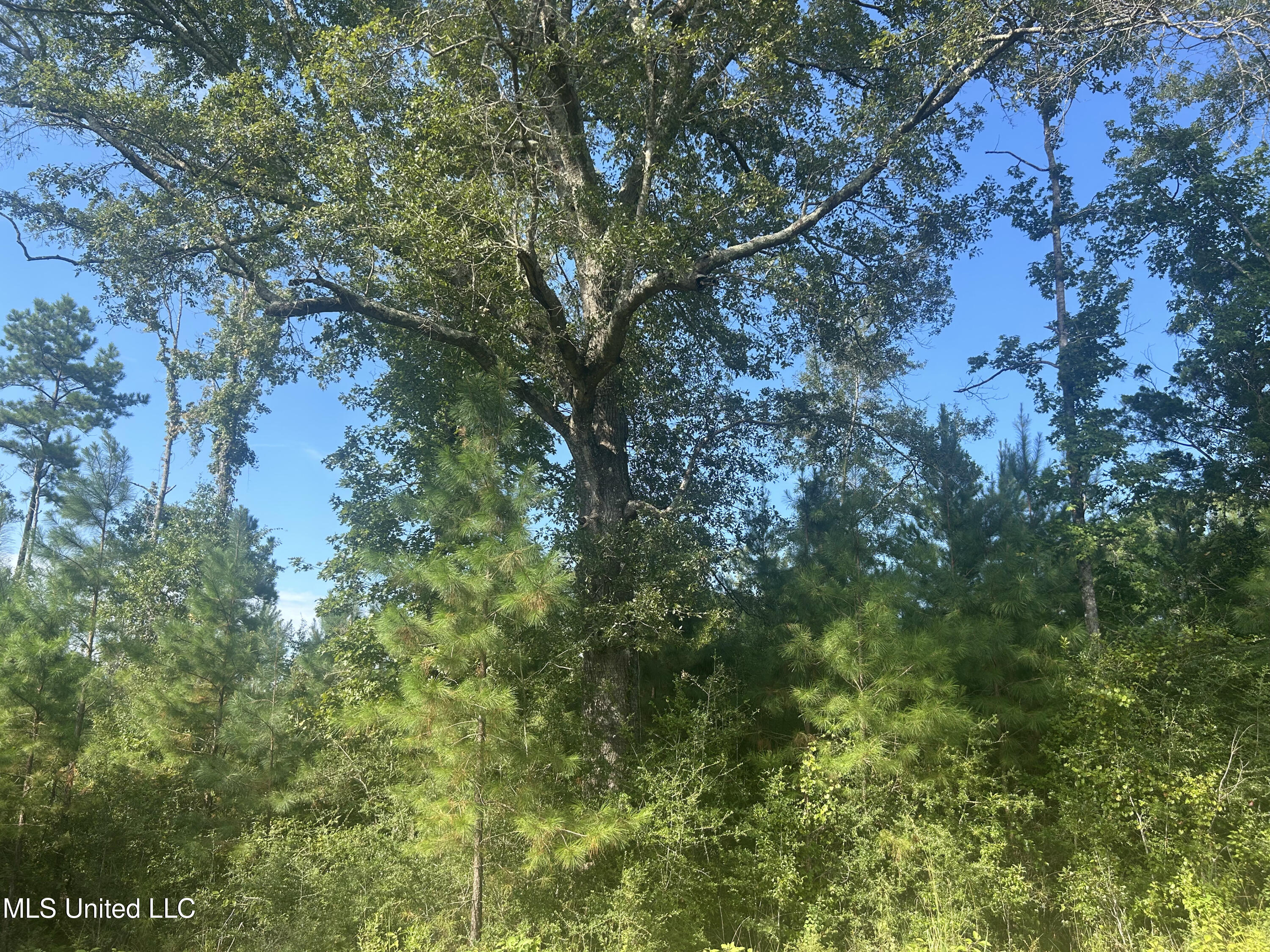 0 Coppell Property Photo 35