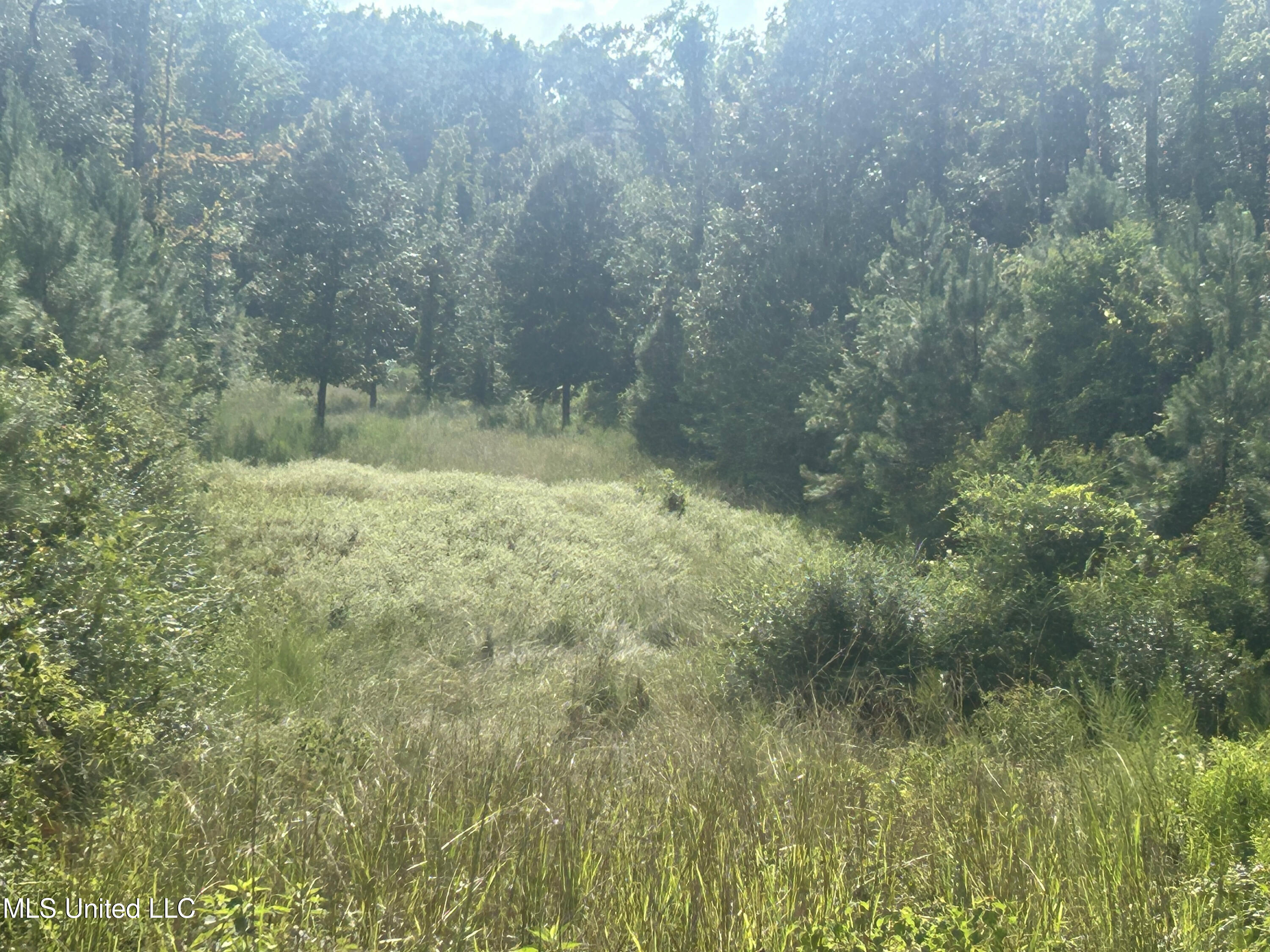 0 Coppell Property Photo 37