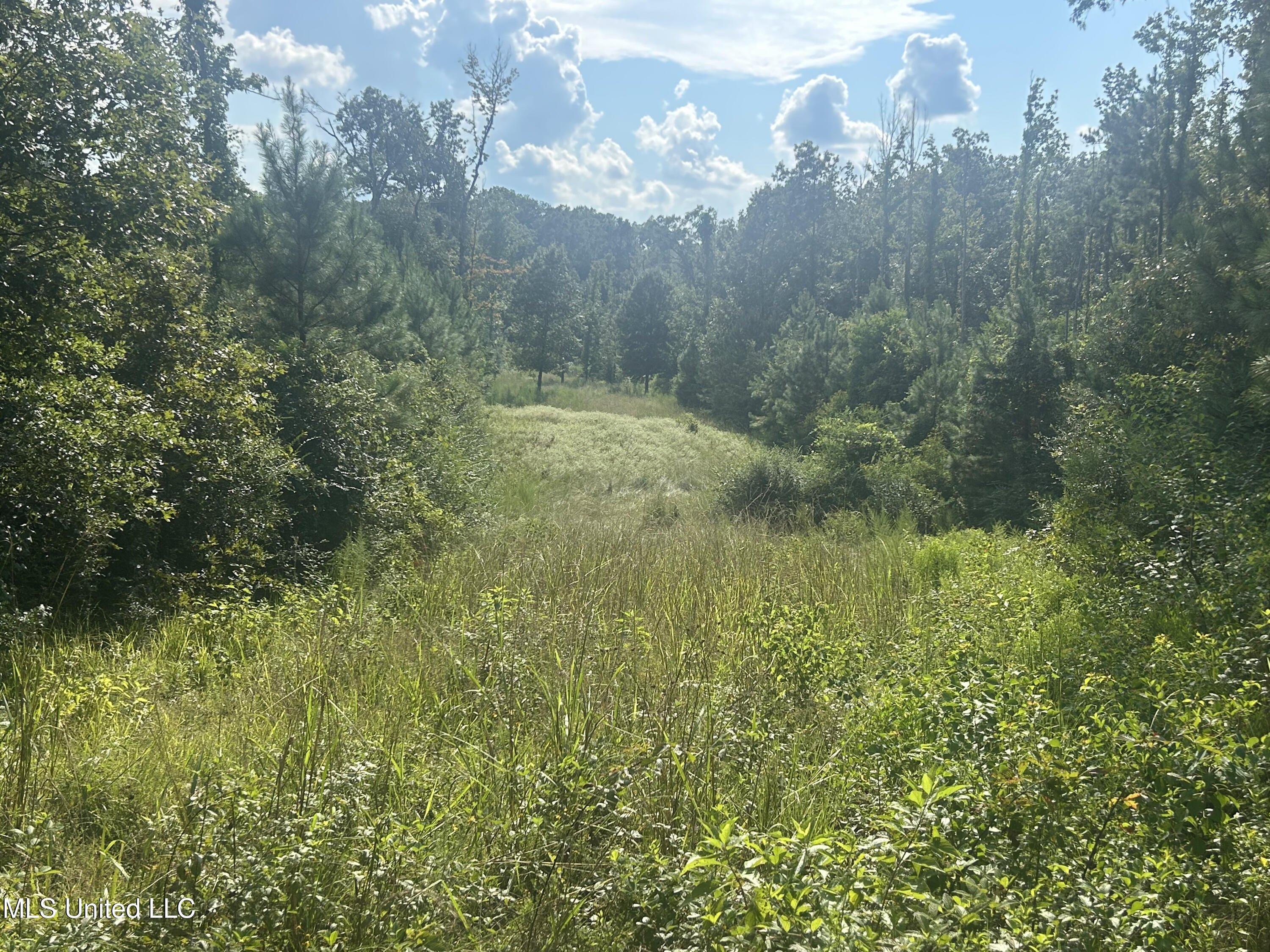 0 Coppell Property Photo 38