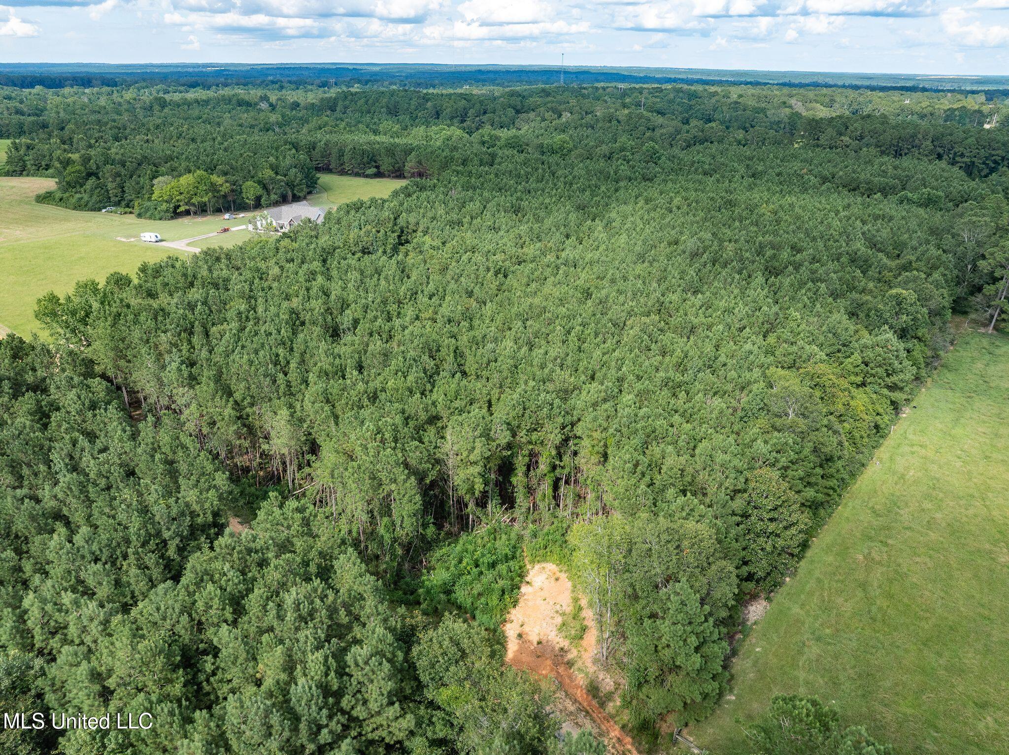 Parcel C J. Runnels Road Property Photo 1