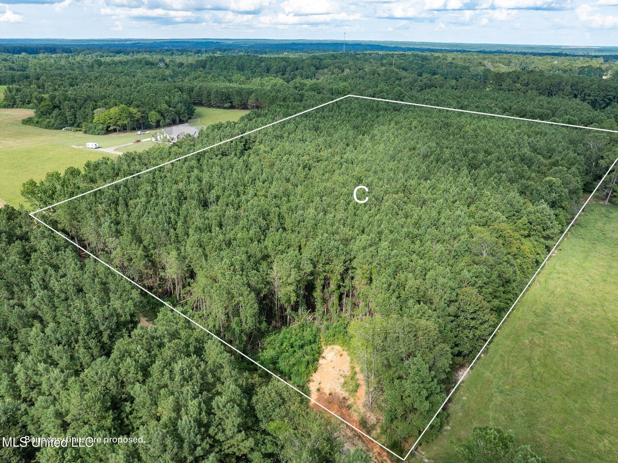 Parcel C J. Runnels Road Property Photo 2