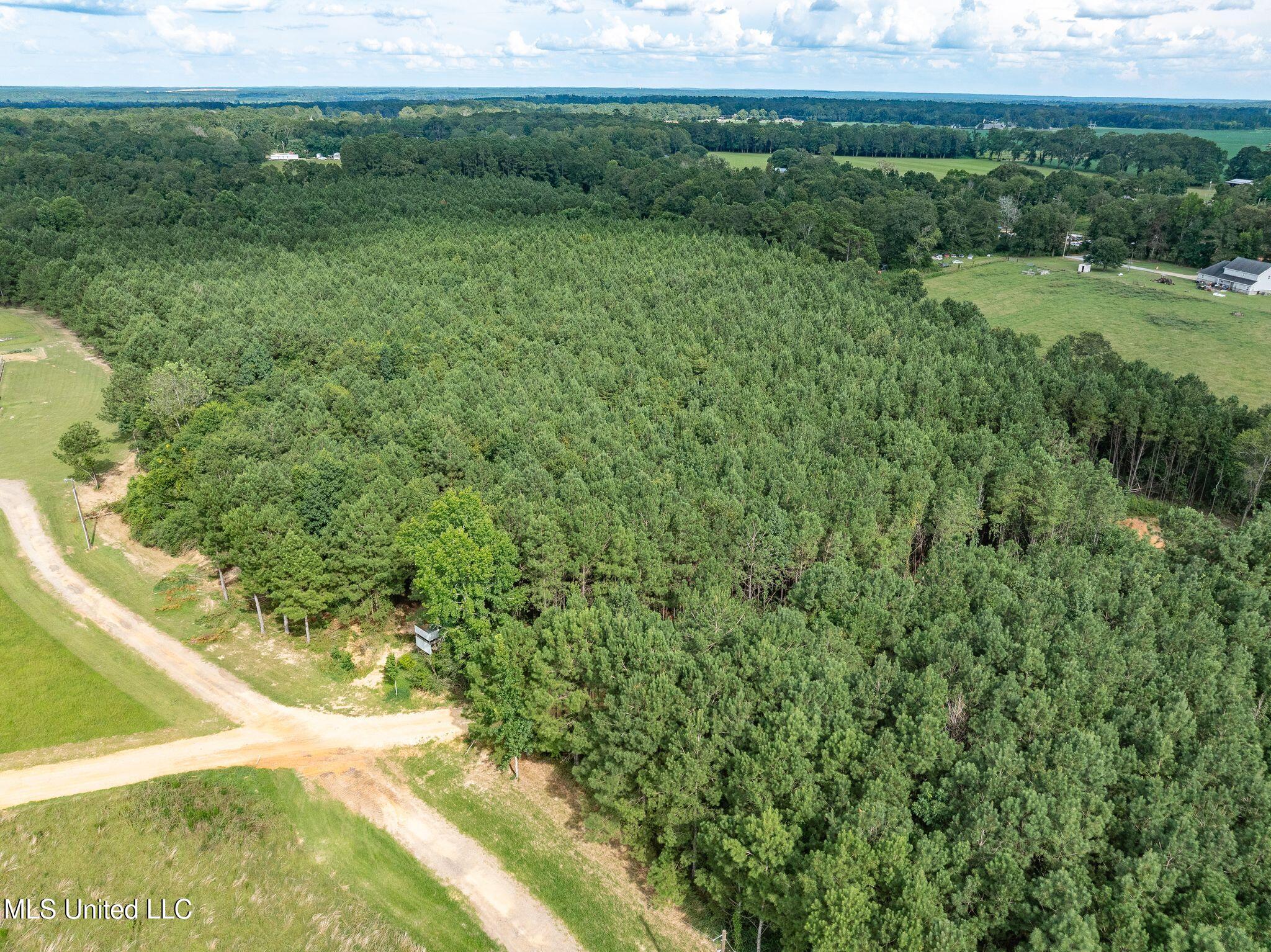 Parcel C J. Runnels Road Property Photo 3