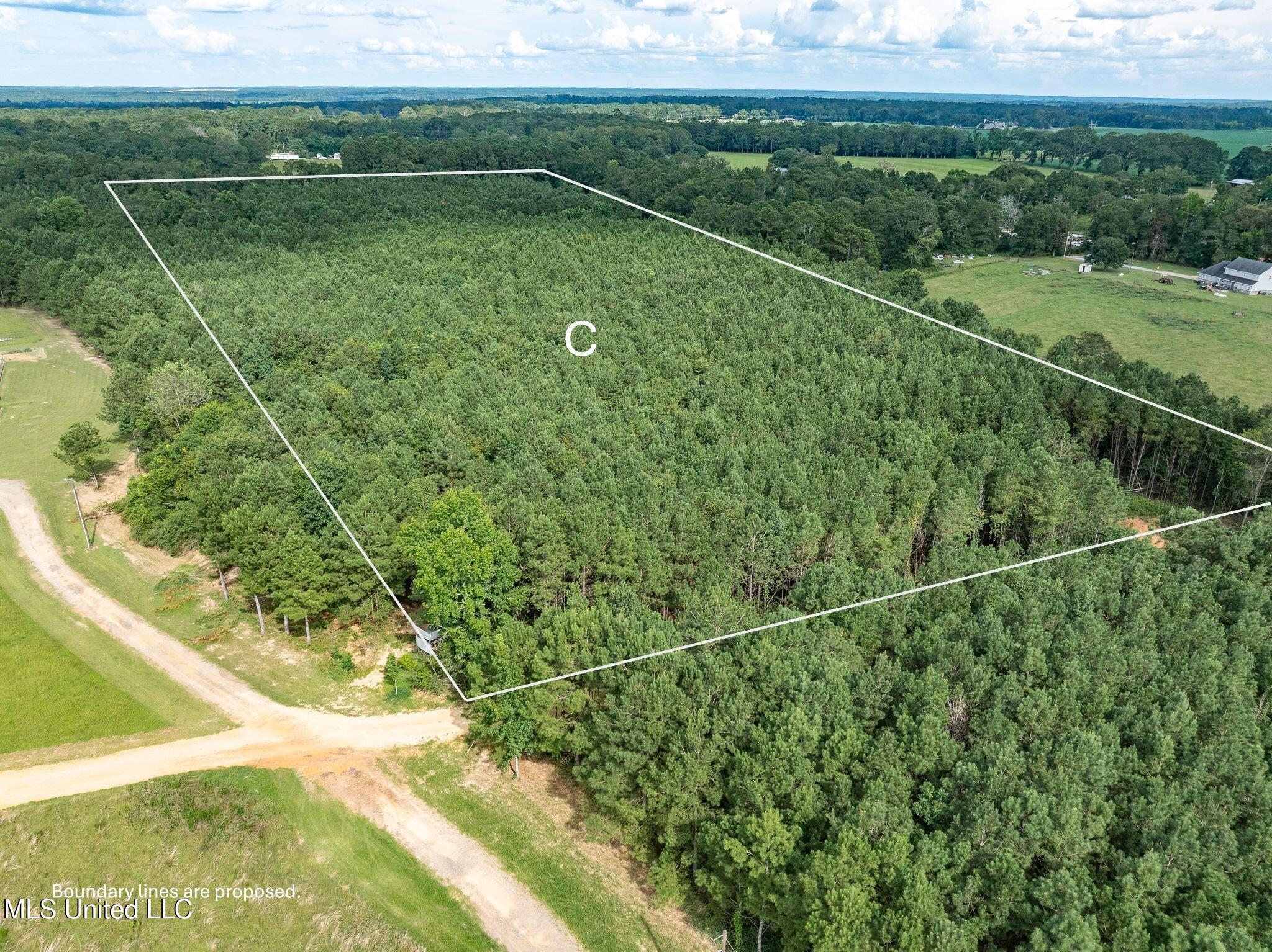Parcel C J. Runnels Road Property Photo 4