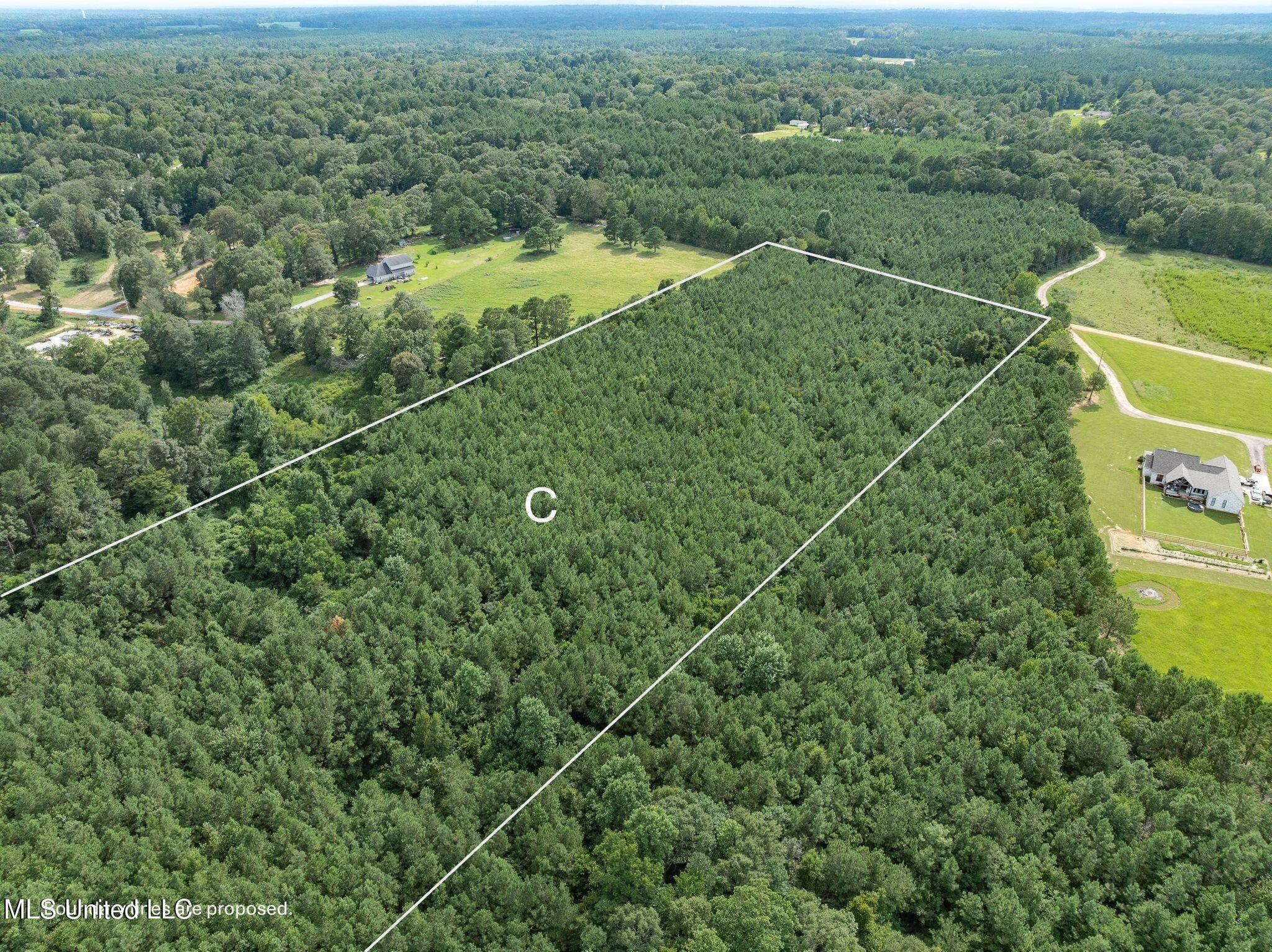 Parcel C J. Runnels Road Property Photo 6