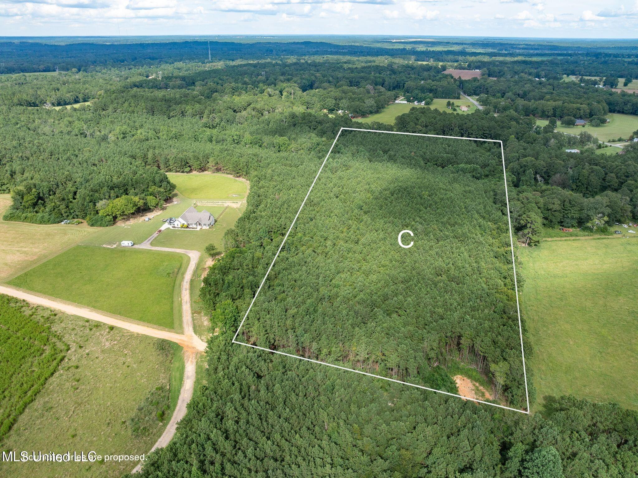 Parcel C J. Runnels Road Property Photo 8