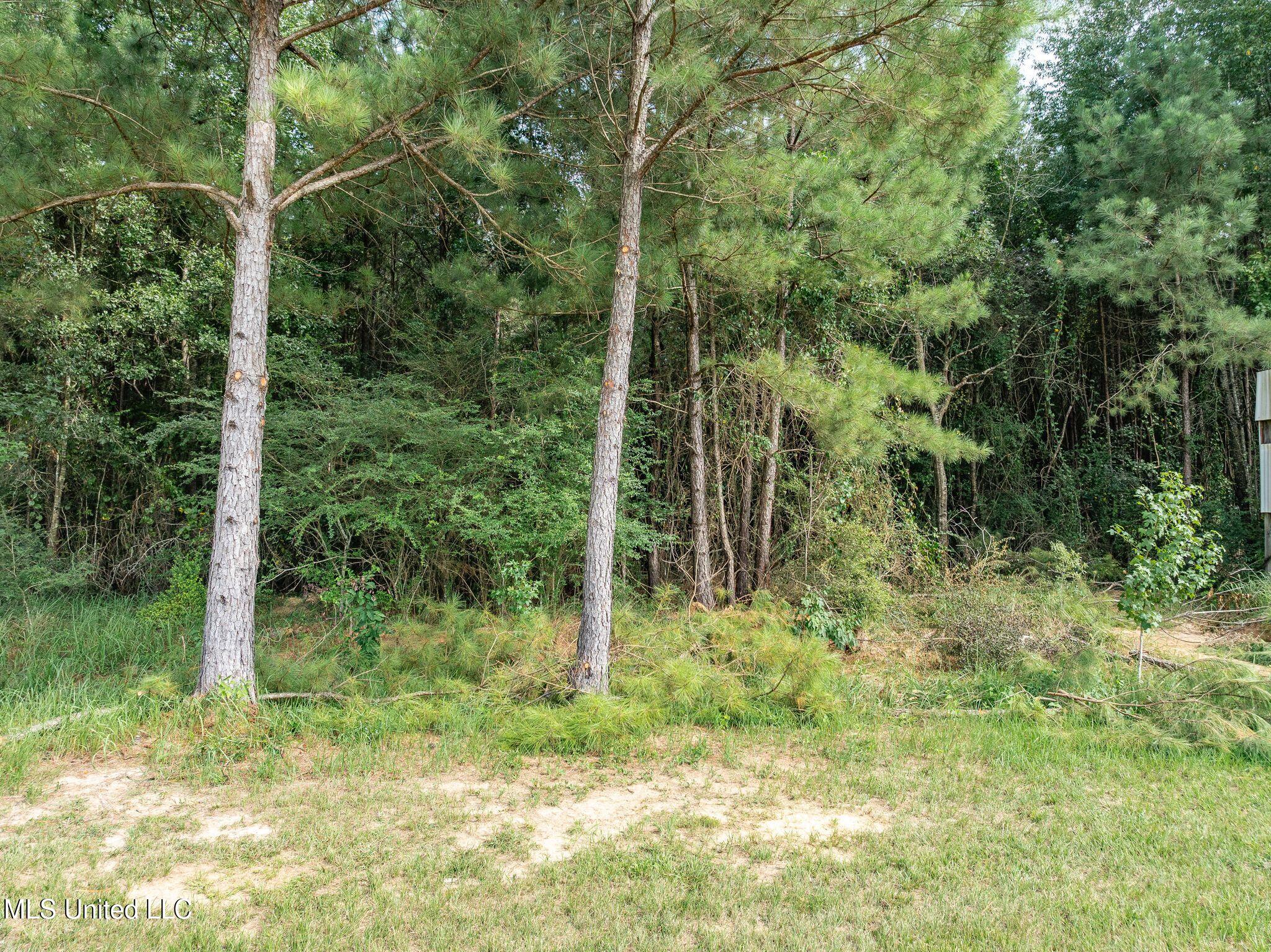 Parcel C J. Runnels Road Property Photo 9