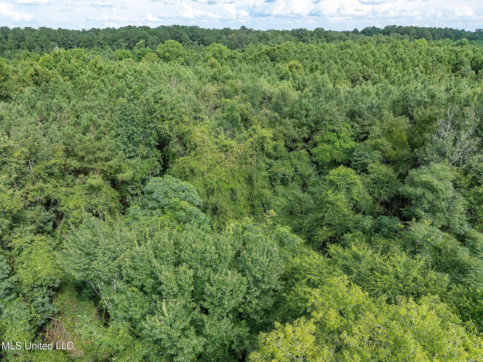 Parcel C J. Runnels Road Property Photo 10